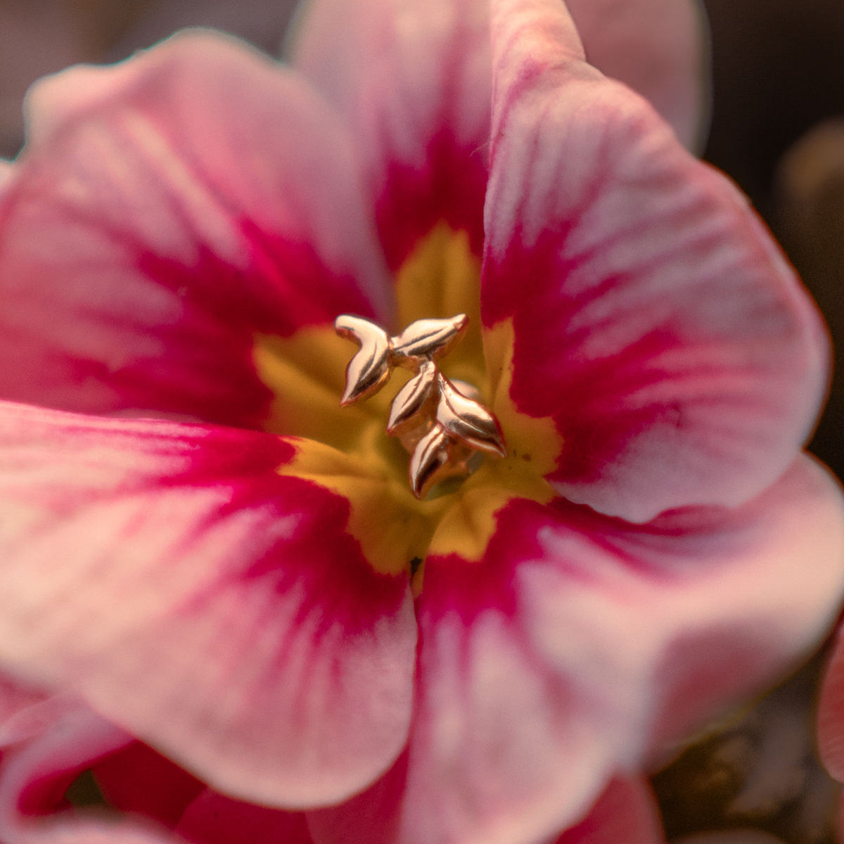 OHRSTECKER KLEINE BLÄTTER