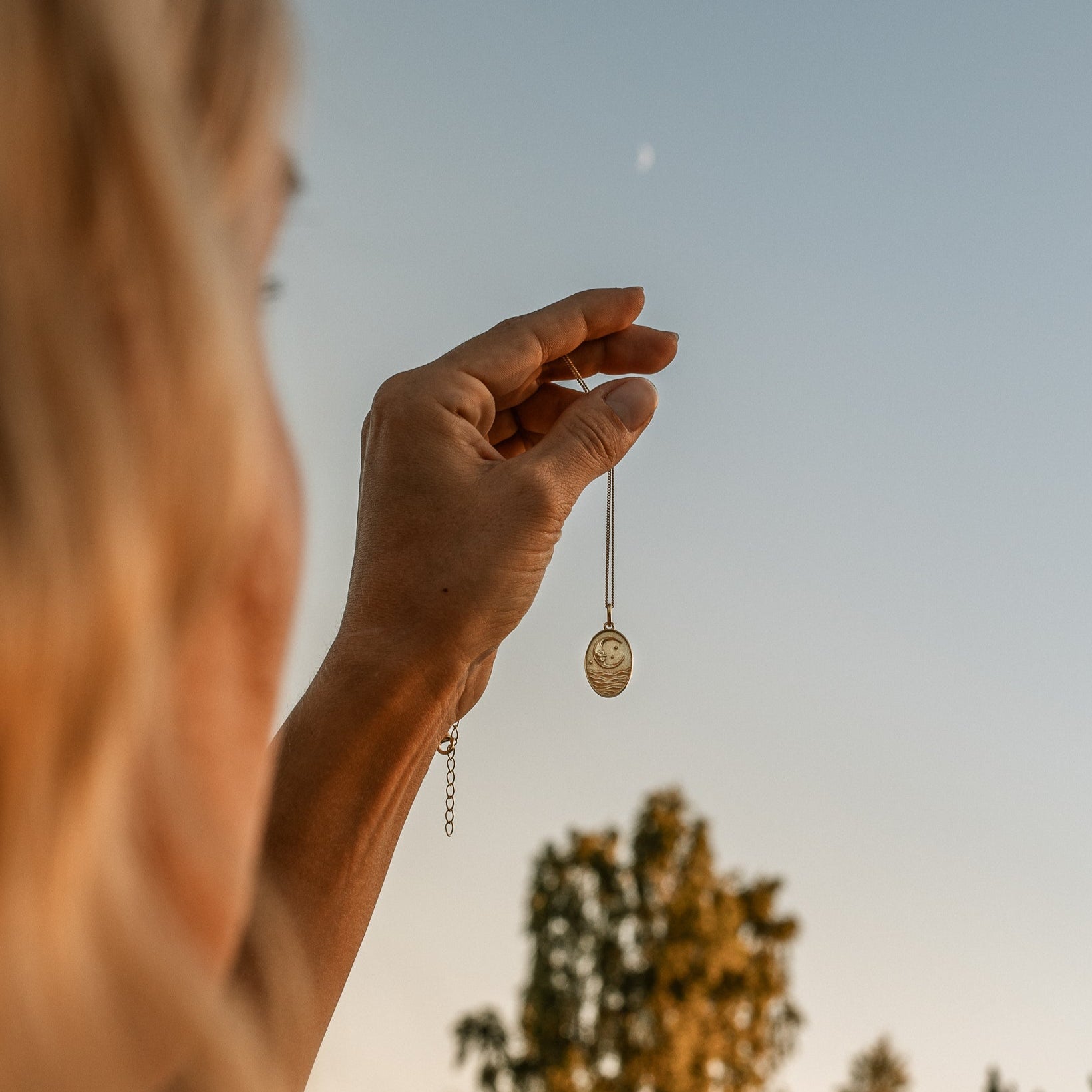 ANHÄNGER WENDE-ANHÄNGER MOON & SOL