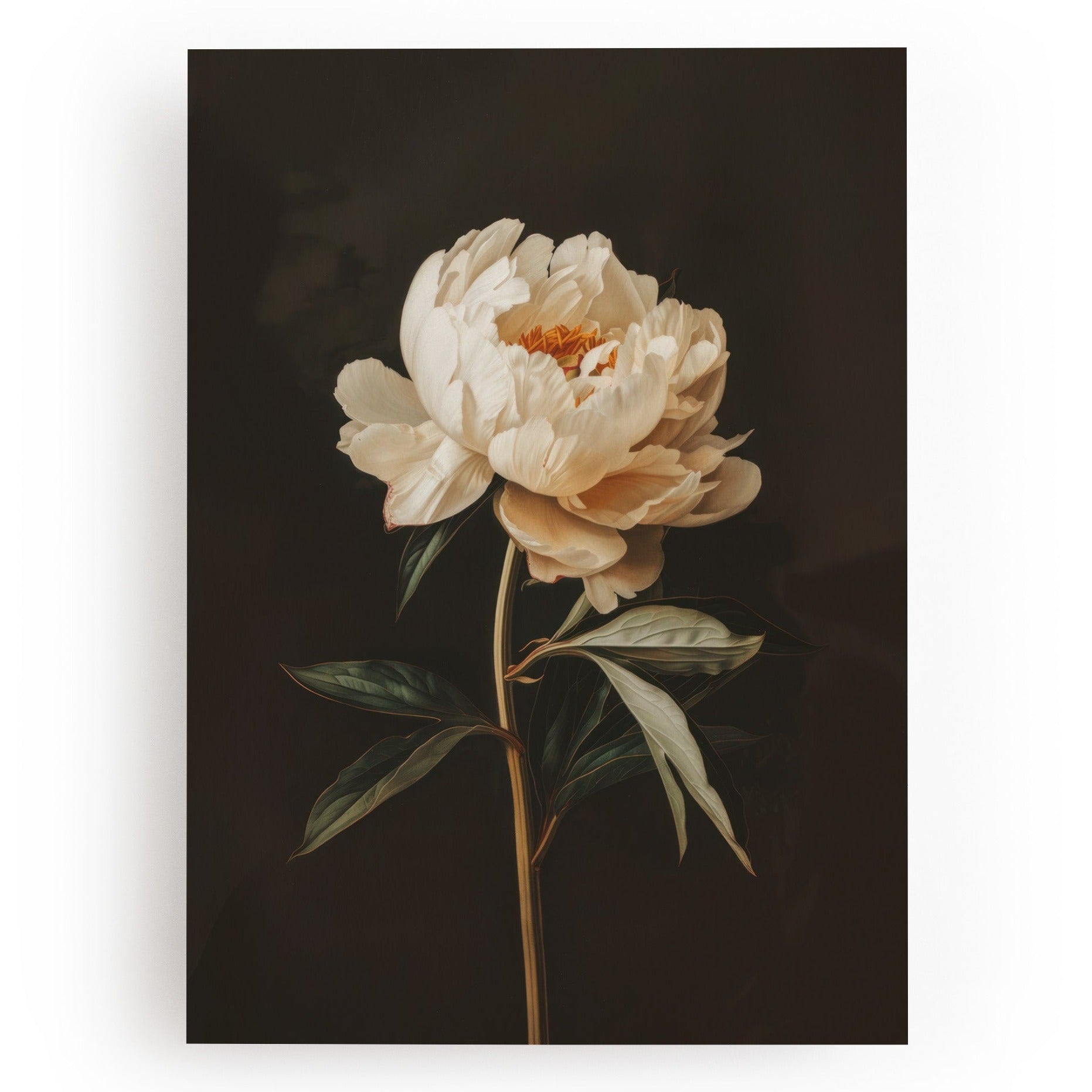 ART PRINT PEONY