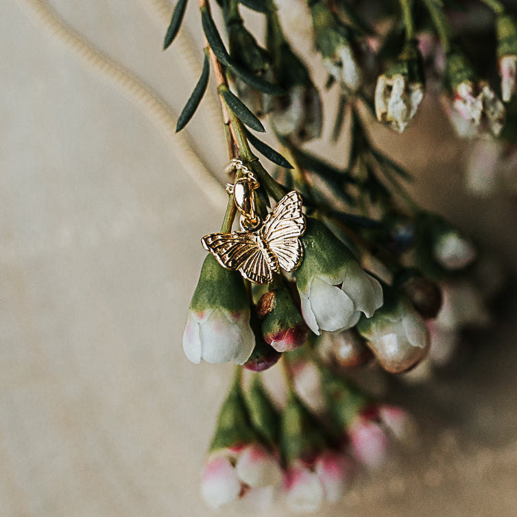 KETTE SCHMETTERLING