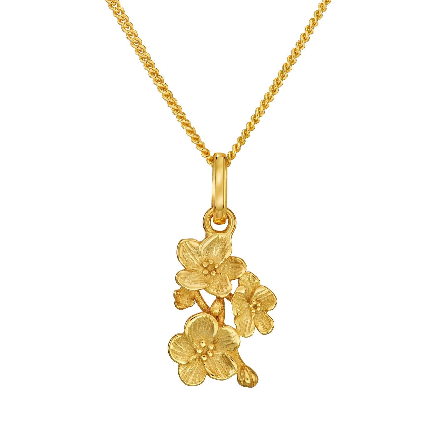 KETTE VERGISSMEINNICHT