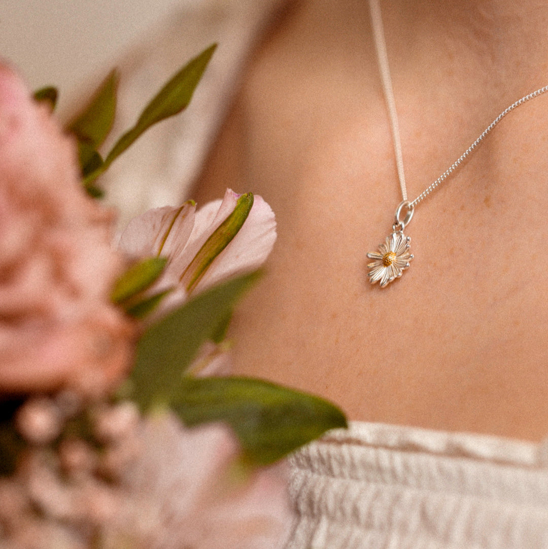 KETTE GÄNSEBLUME
