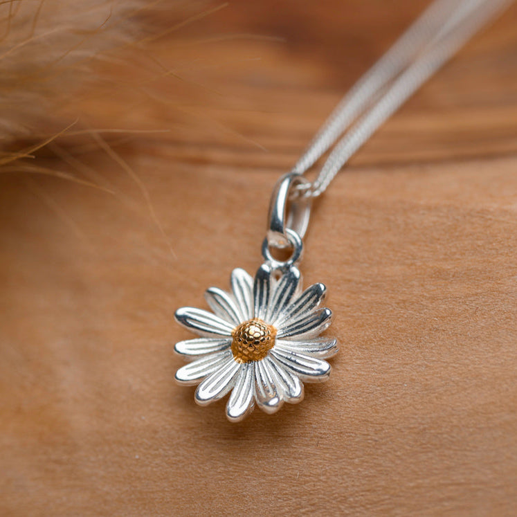KETTE GÄNSEBLUME