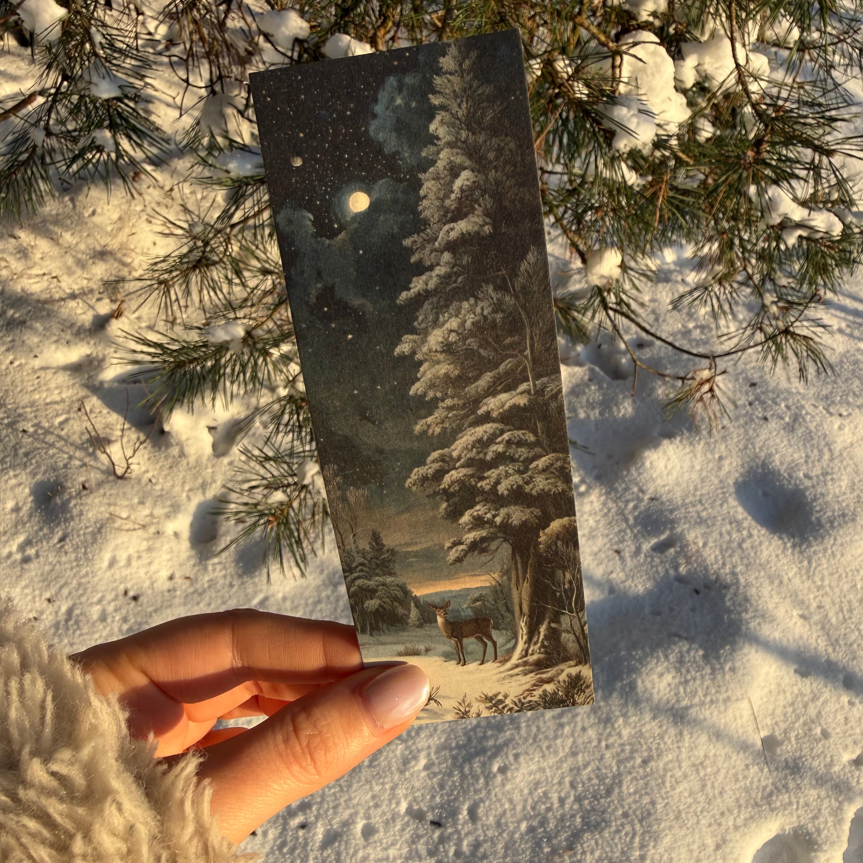 LESEZEICHEN FUCHS & REH