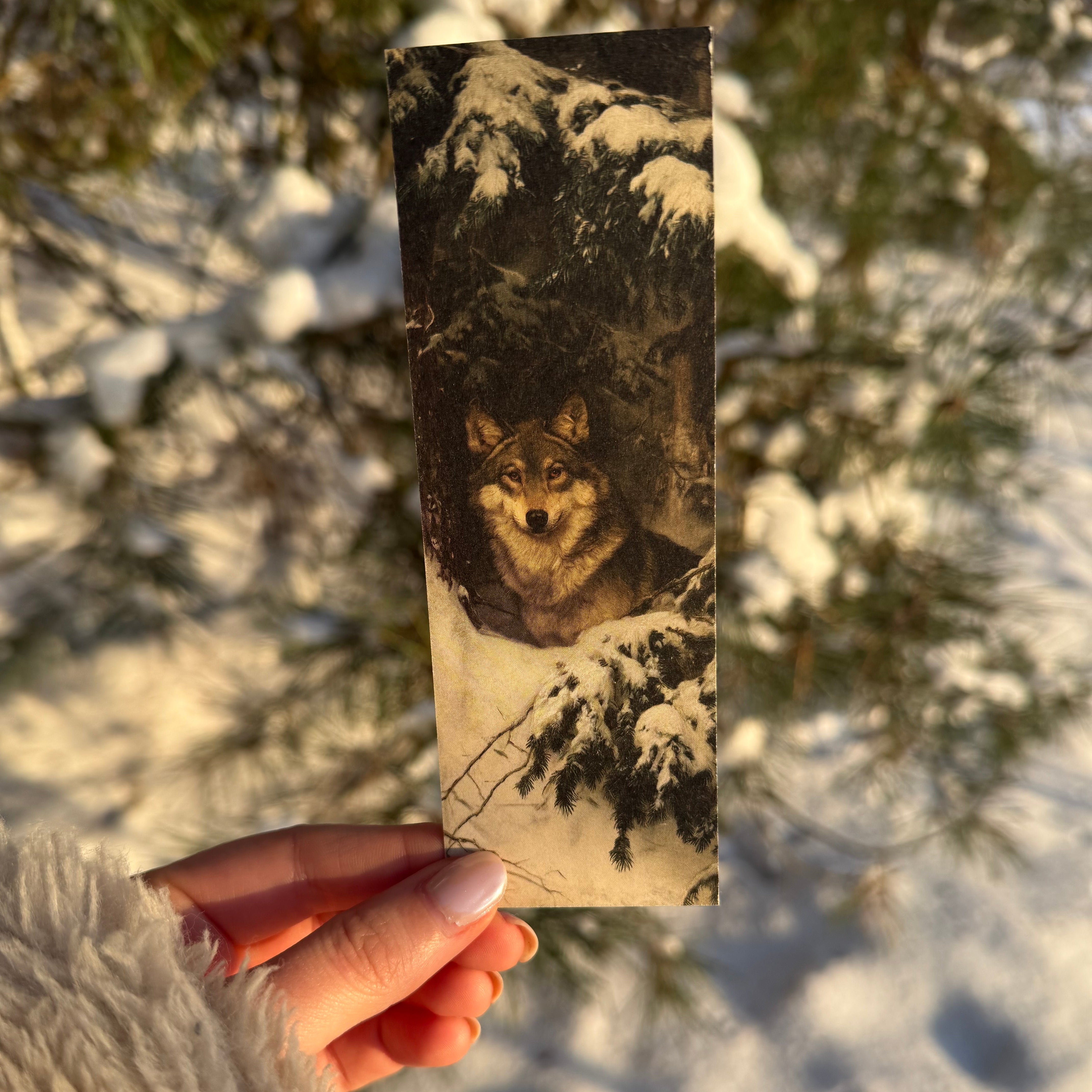 LESEZEICHEN WOLF & DACHS