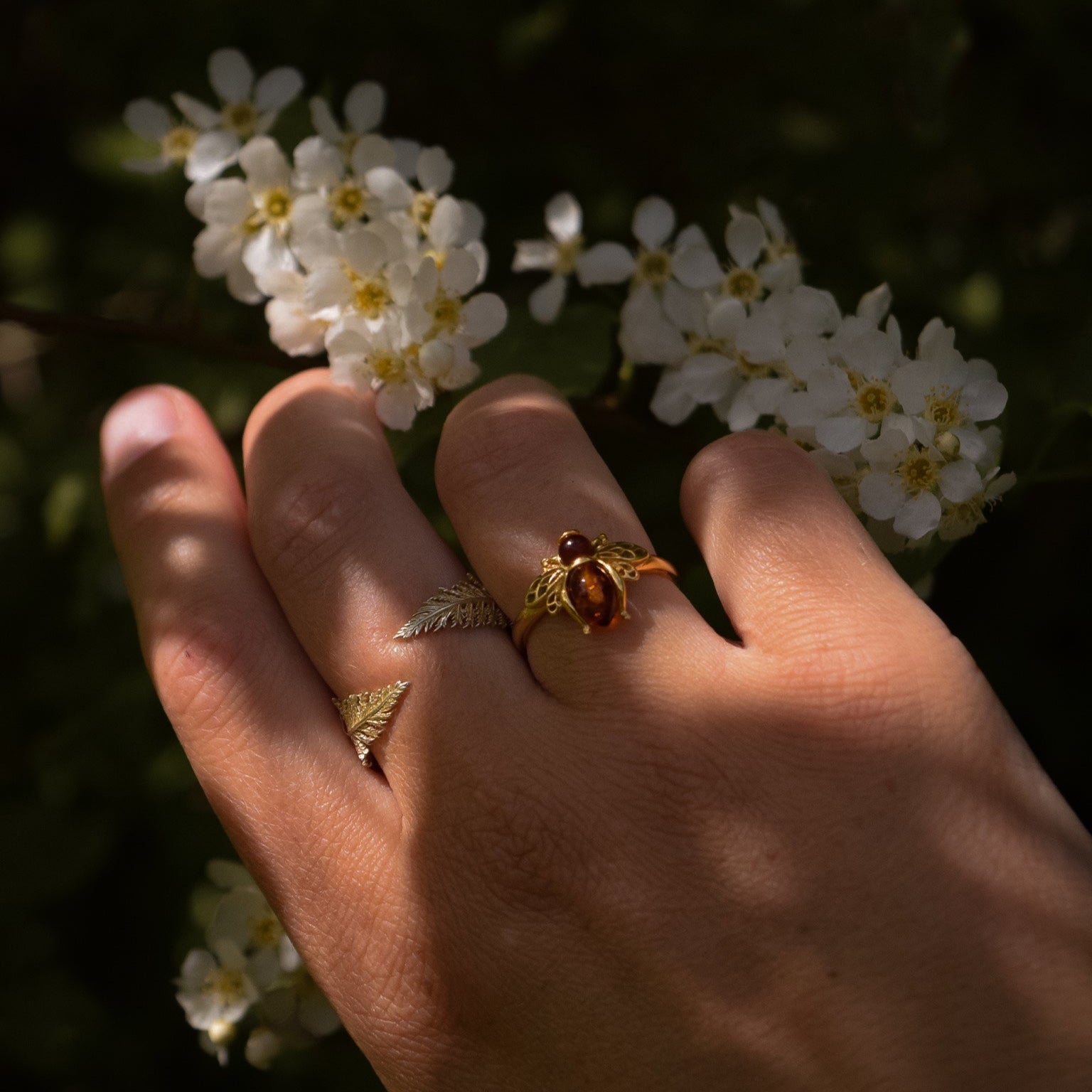 RING BERNSTEIN-BIENE