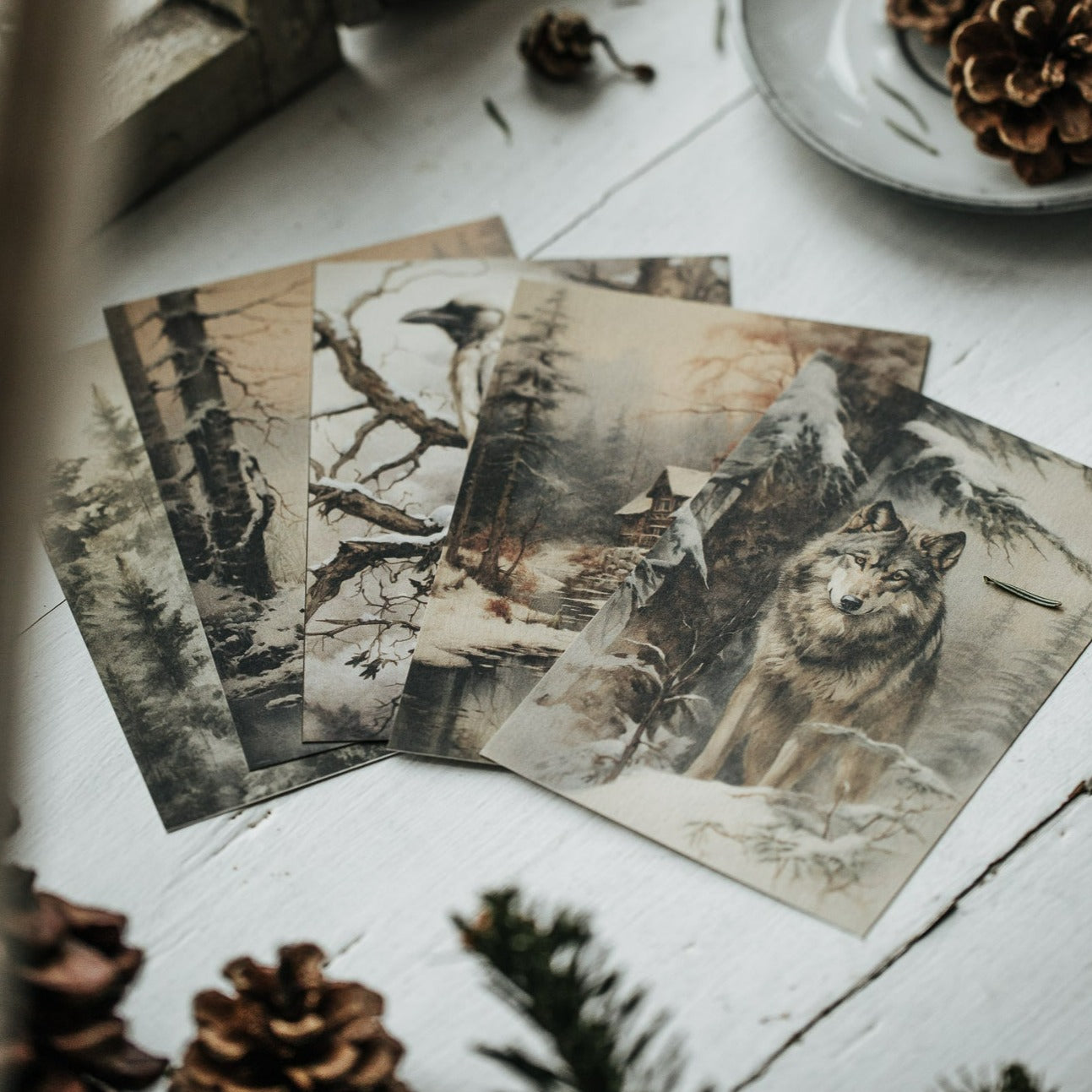 Postcard set Winter Forest