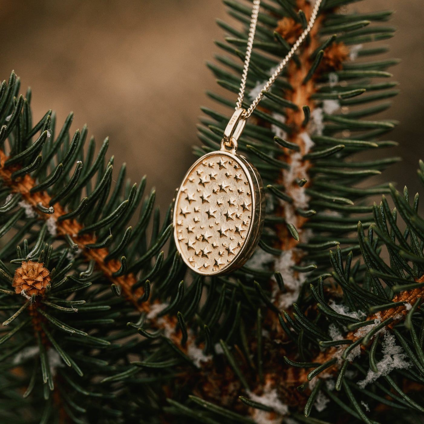 KETTE WENDE-MEDAILLON MOND & STERNENHIMMEL