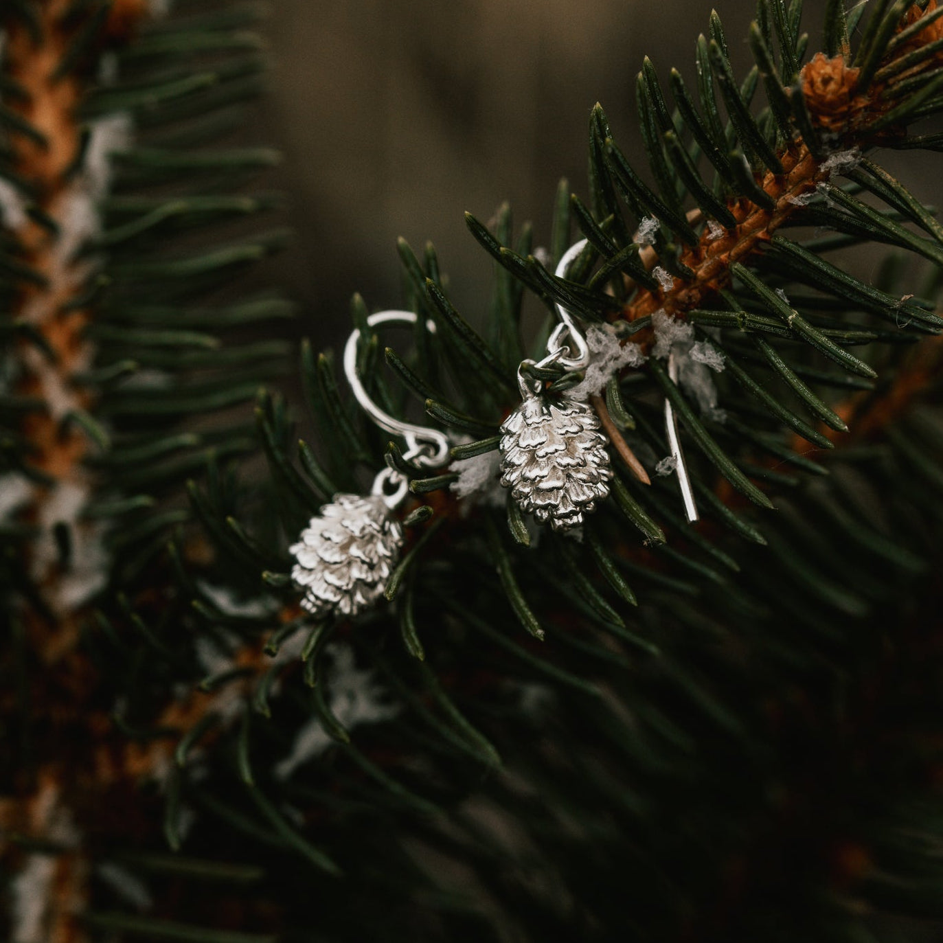 OHRRINGE KIEFERZAPFEN II