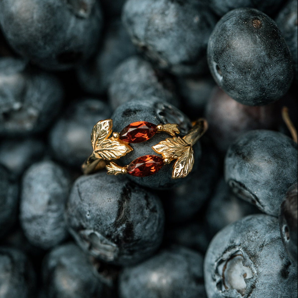 RING HAGEBUTTE & GRANAT