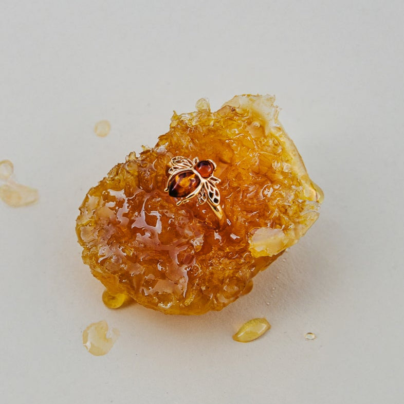 RING BERNSTEIN-BIENE