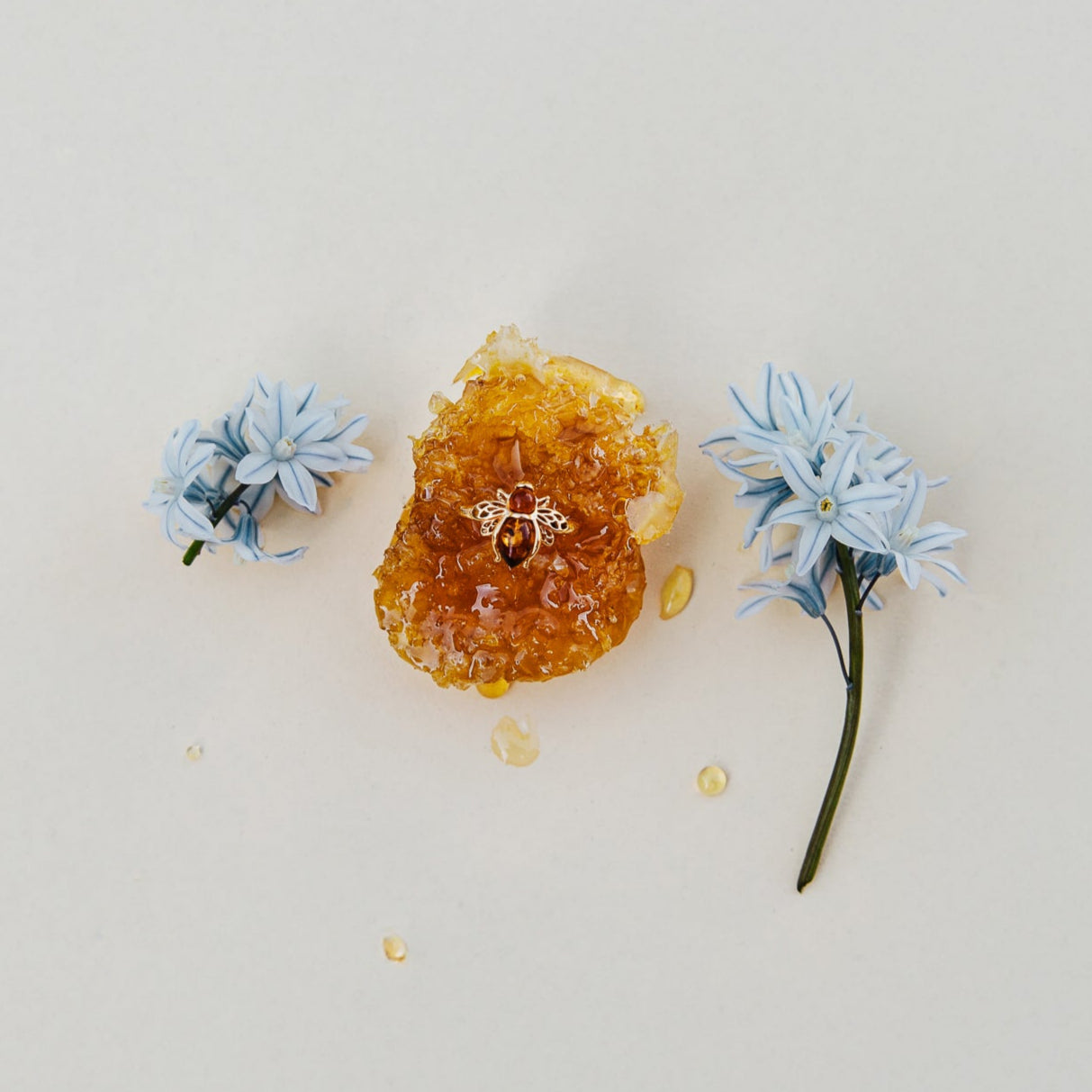 RING BERNSTEIN-BIENE