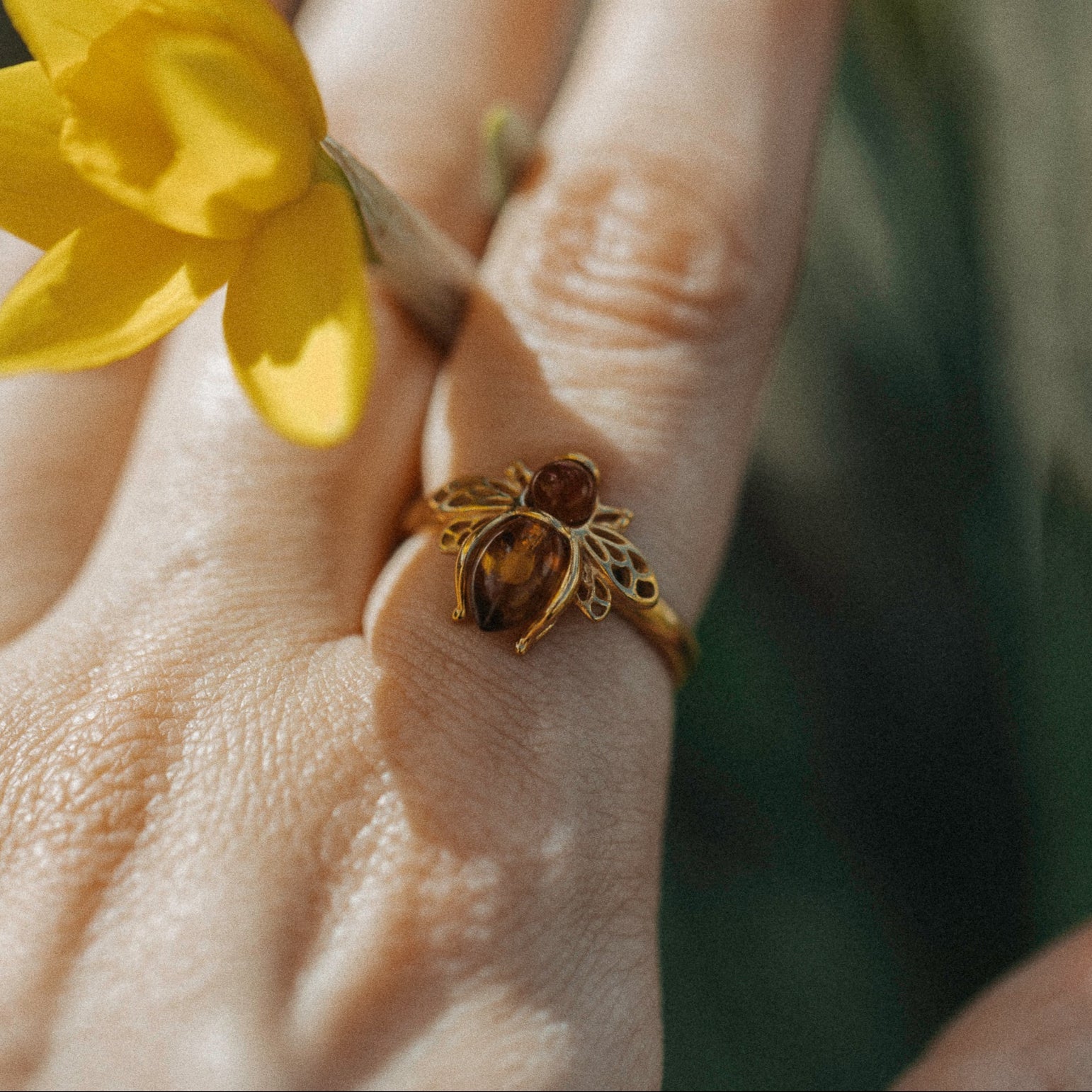 RING BERNSTEIN-BIENE