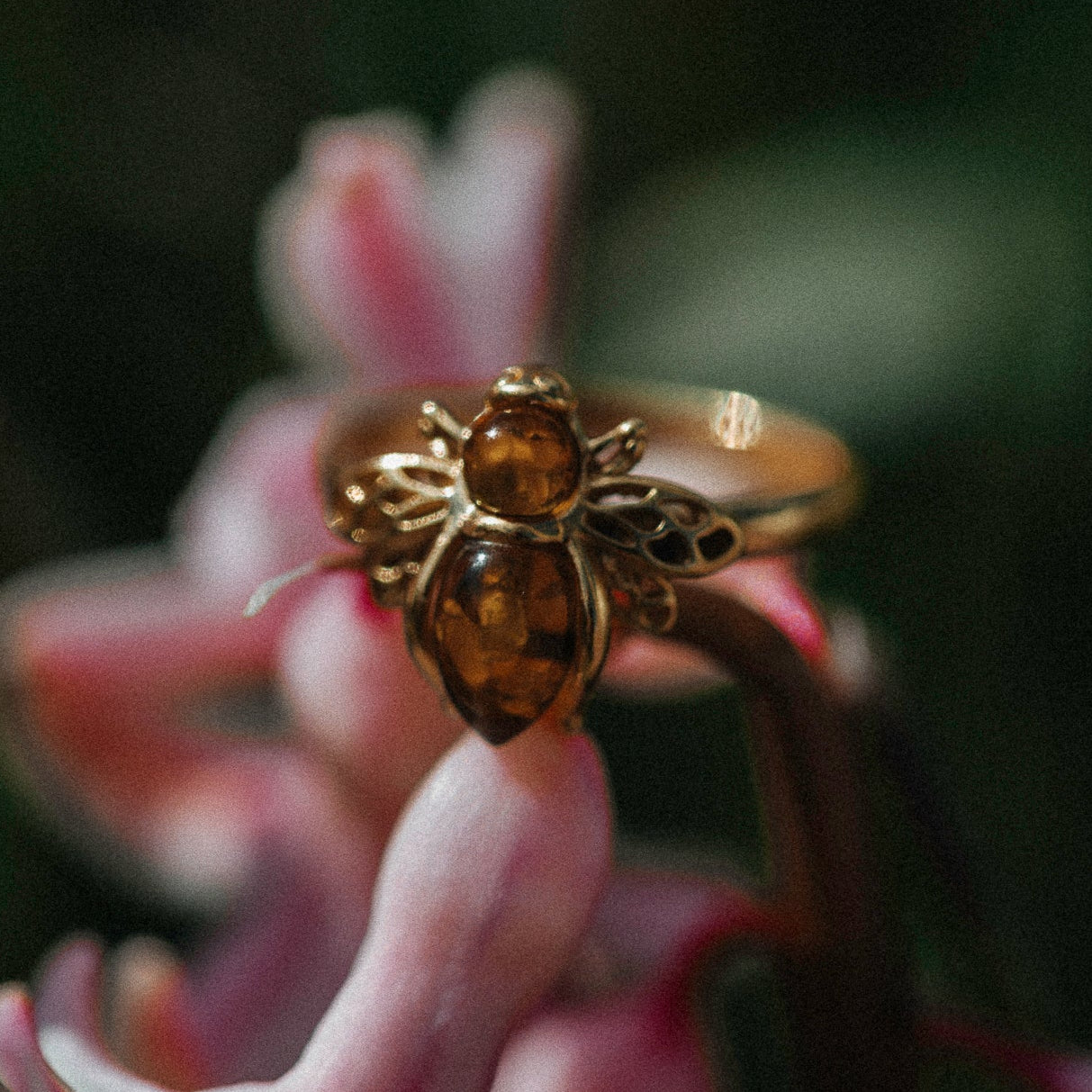 RING BERNSTEIN-BIENE