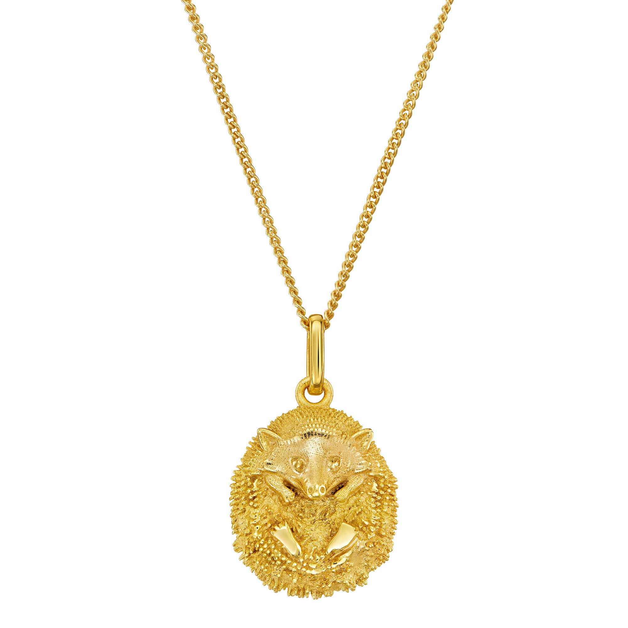 KETTE IGEL