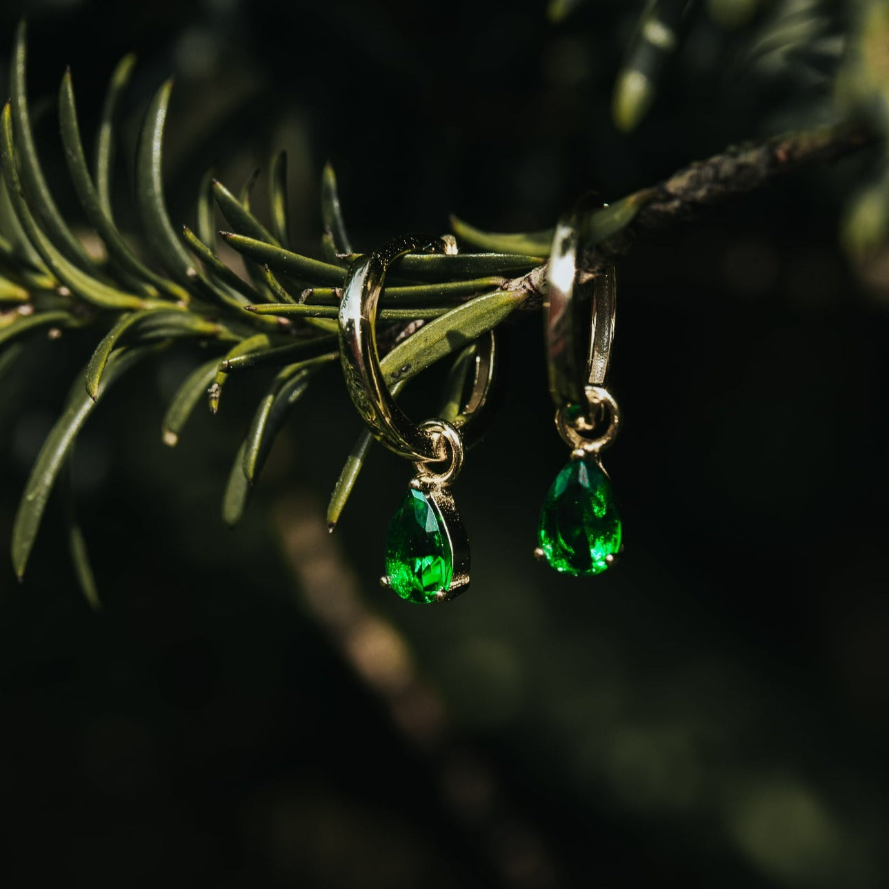 Hoop earrings VERDIANA