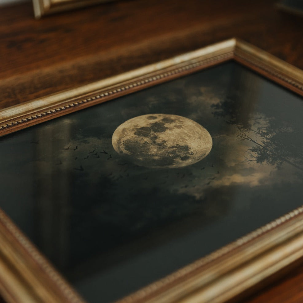 ART PRINT BATS AND MOON