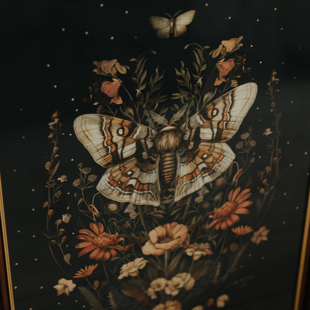 ART PRINT NIGHT MOTH