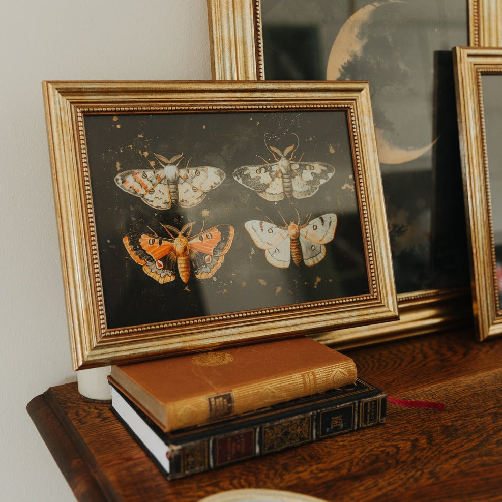 ART PRINT MOTH COLLECTION