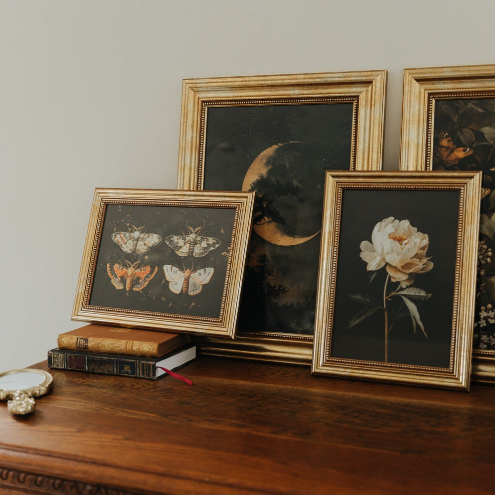 ART PRINT MOTH COLLECTION