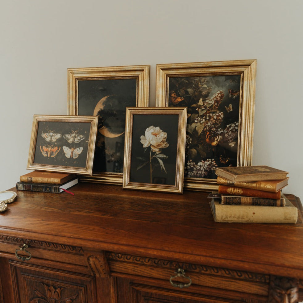 ART PRINT MOTH COLLECTION