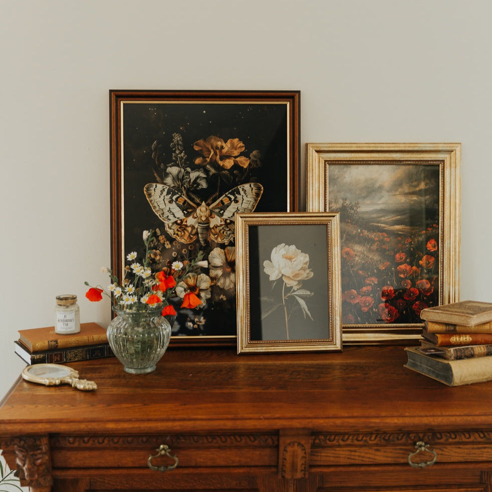 ART PRINT MOTH AND FLOWERS