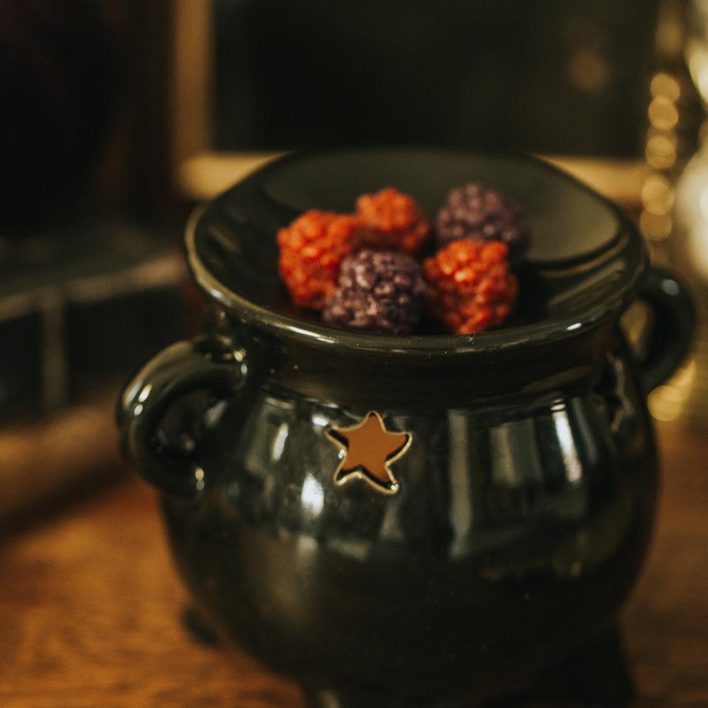 WACHS-MELTS WALDBEEREN