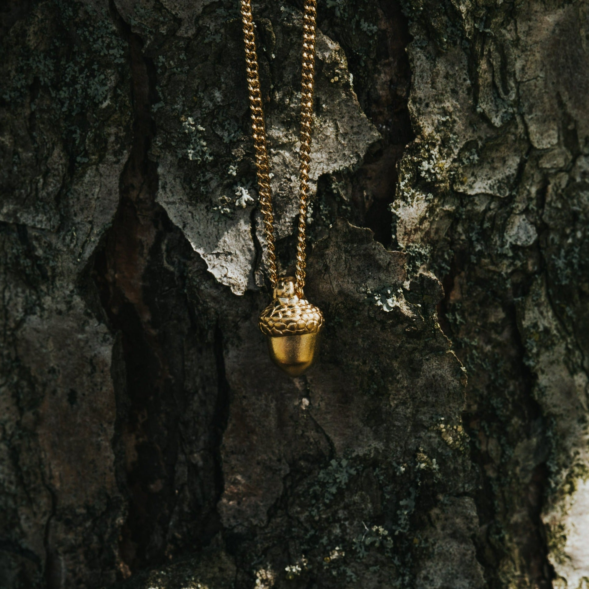 CHAIN ACORN
