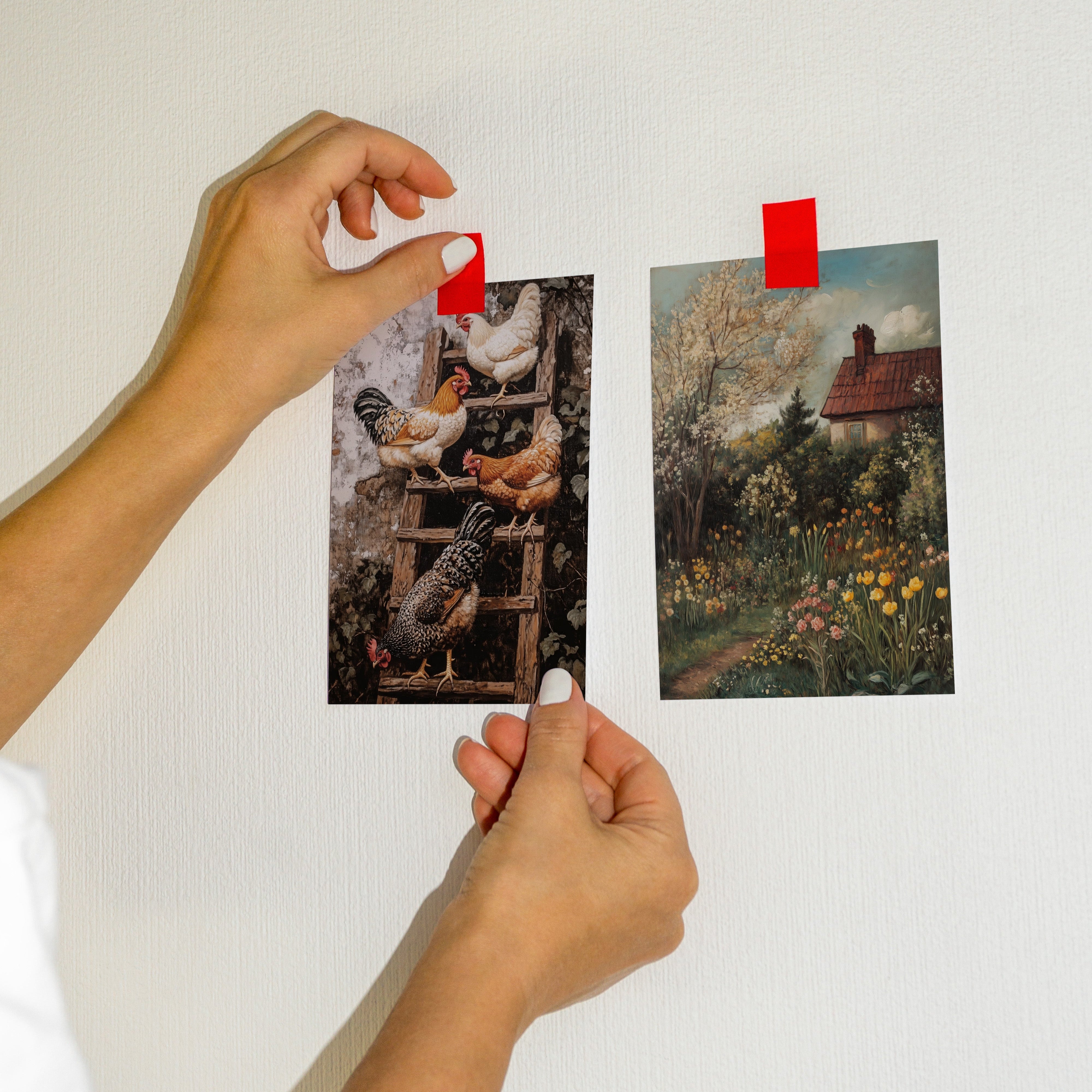 POSTKARTE HÜHNER AUF DER LEITER