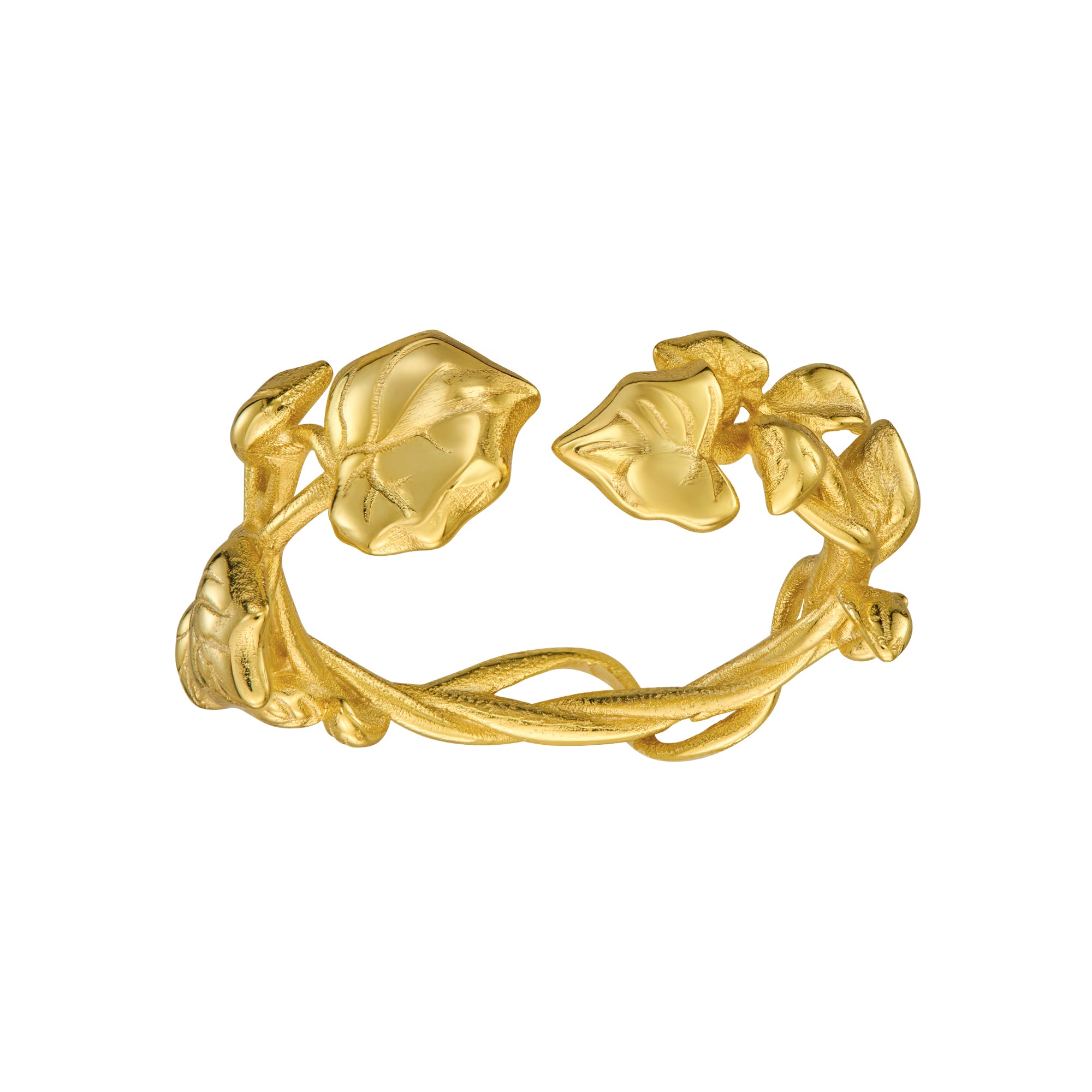 RING EFEU