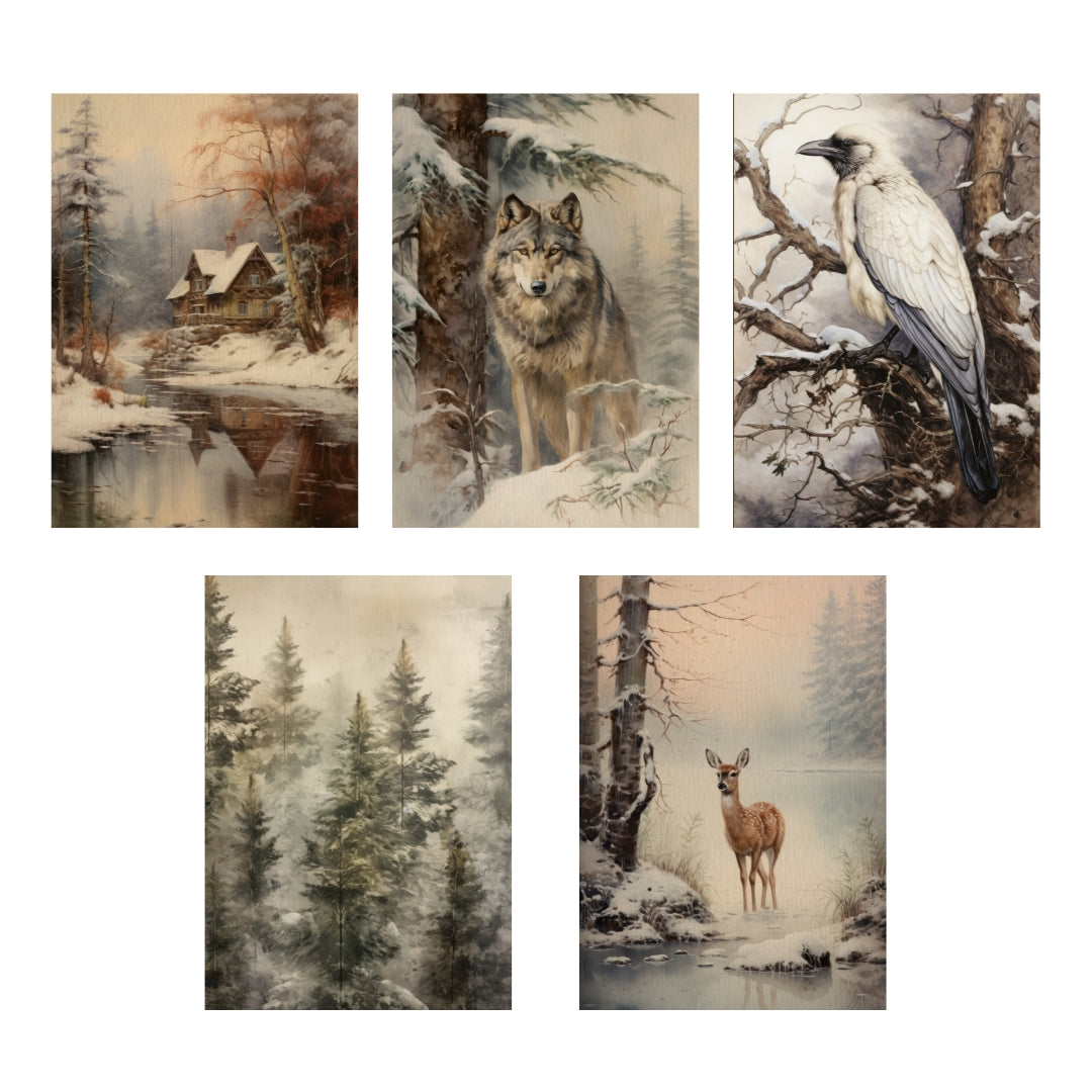 Postcard set Winter Forest