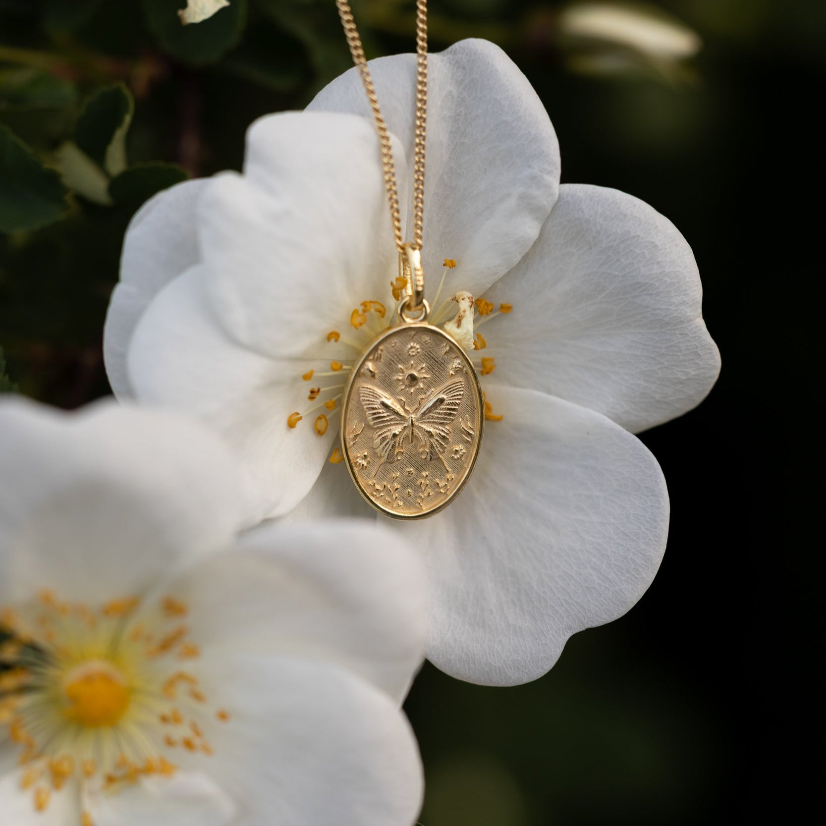 PENDANT REVERSIBLE MEDALLION BUTTERFLY & MOTH
