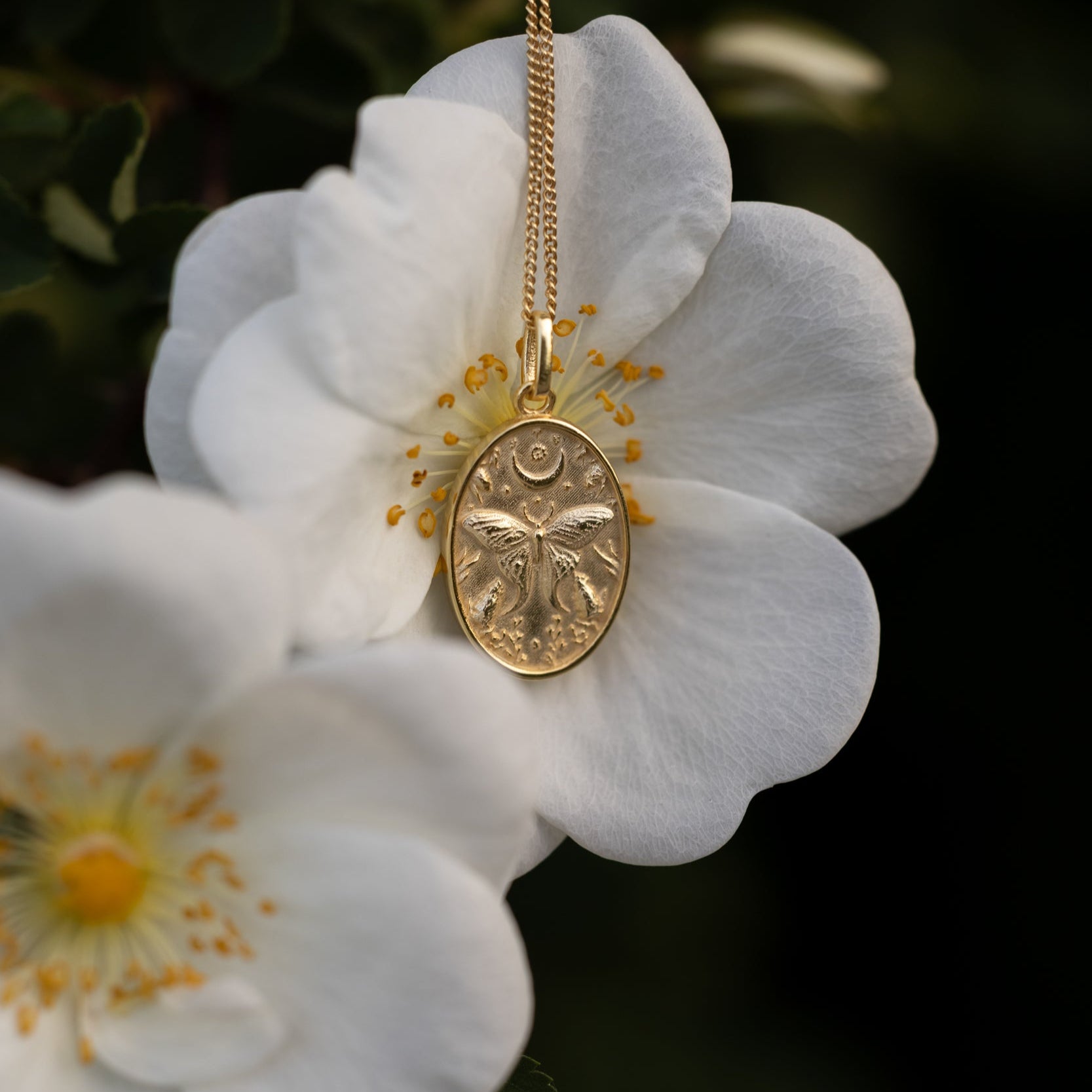 CHAIN REVERSIBLE PENDANT BUTTERFLY & MOTH