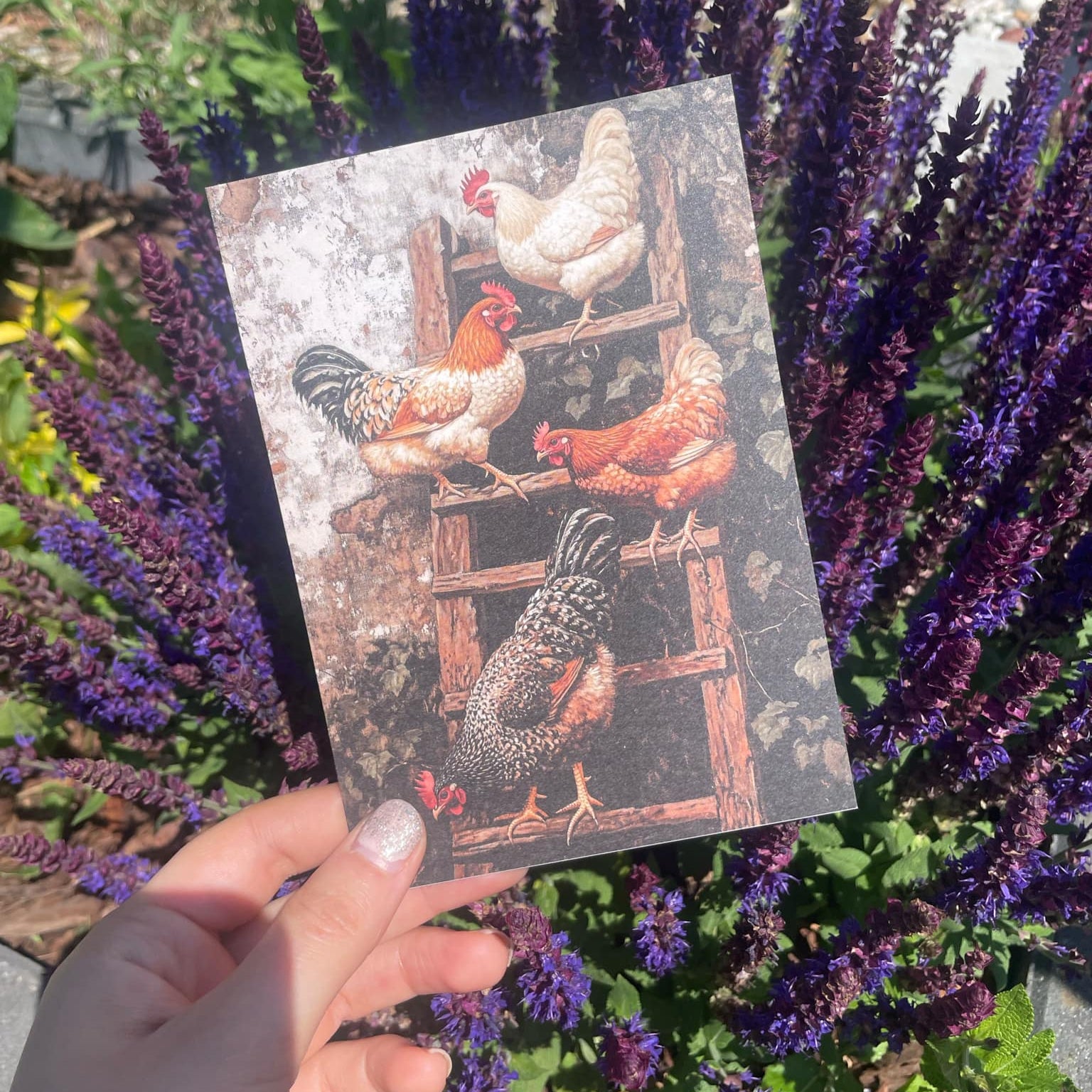 POSTCARD SET BLOSSOM GARDEN