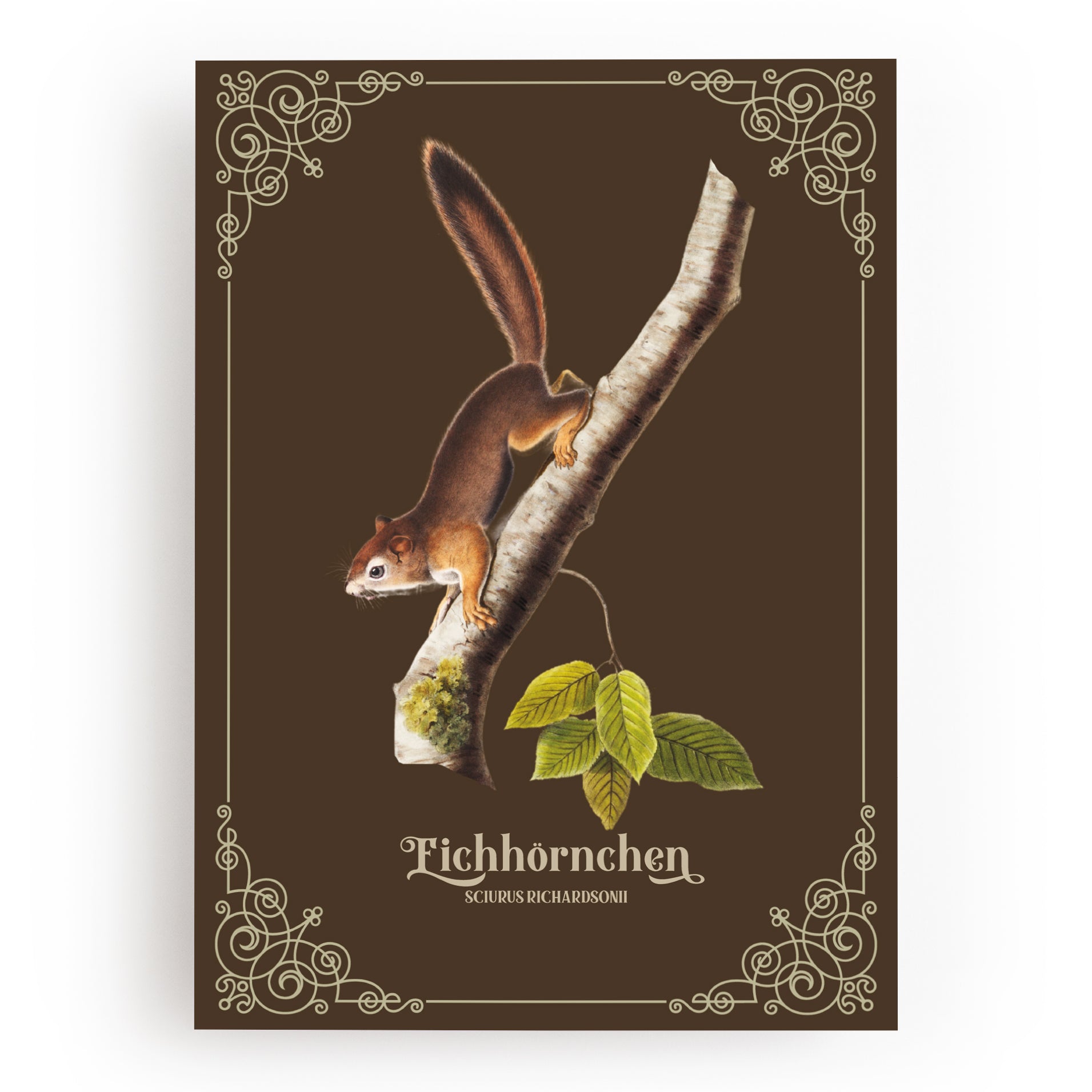 KUNSTDRUCK EICHHÖRNCHEN
