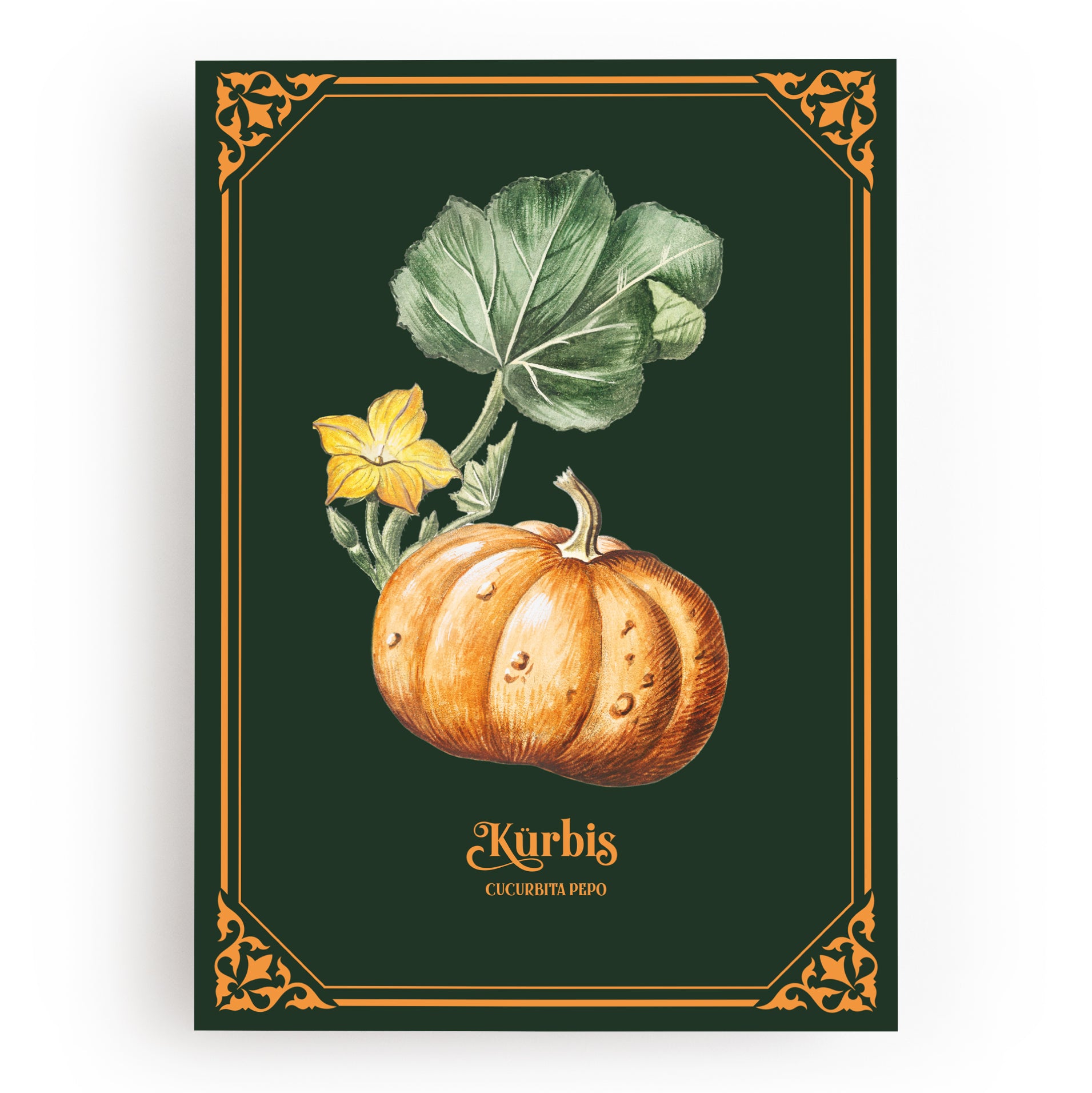 KUNSTDRUCK KÜRBIS