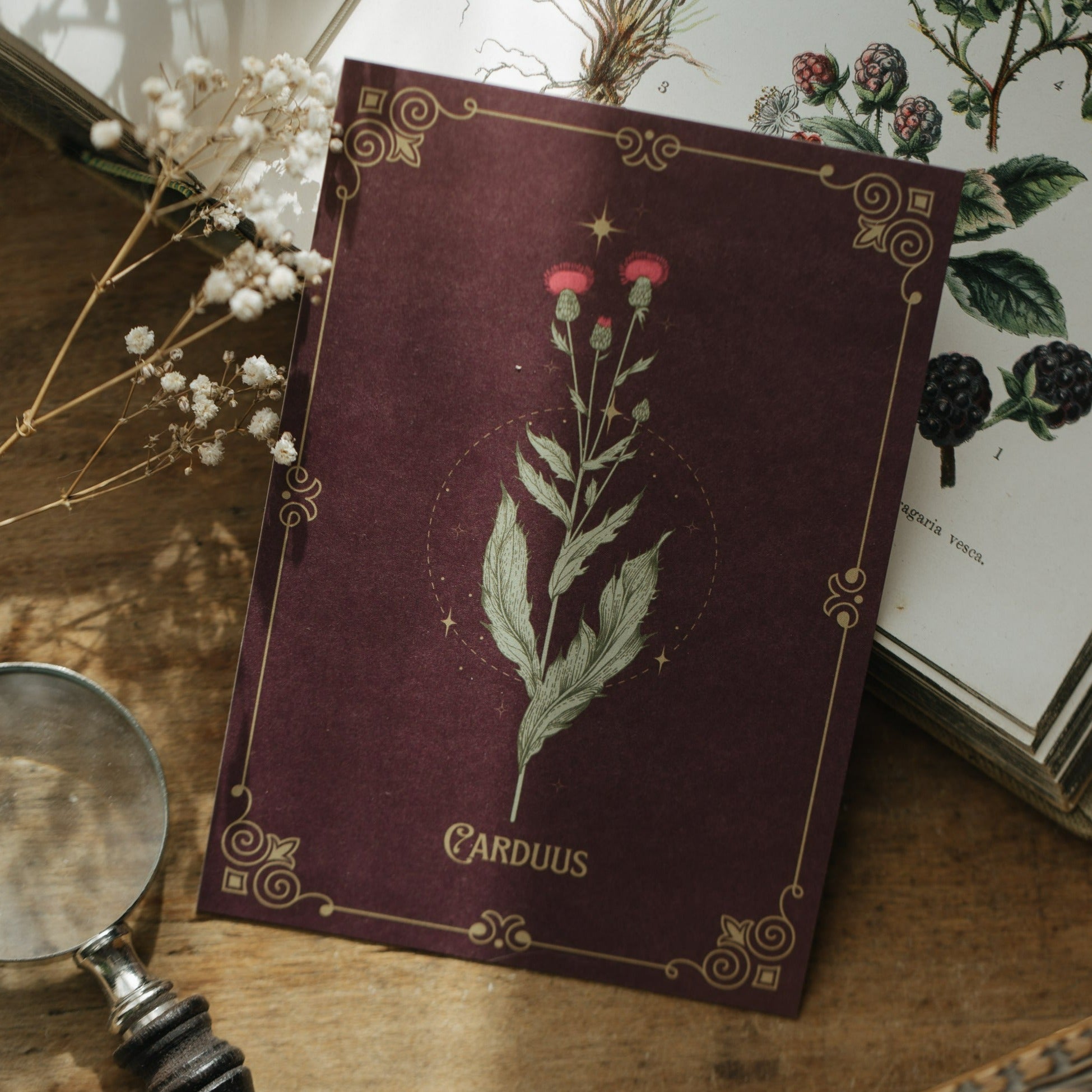 POSTKARTE DISTEL