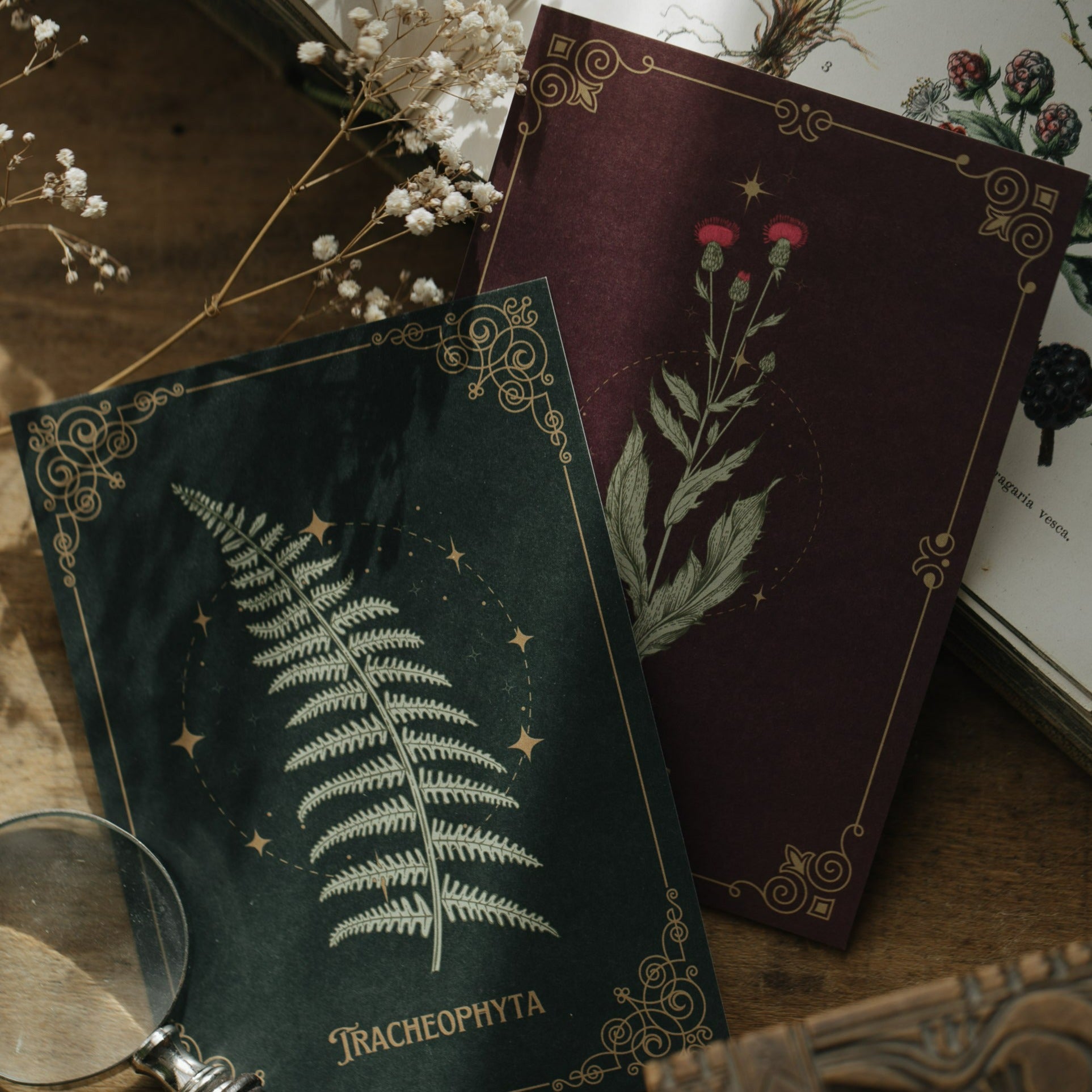 POSTKARTE DISTEL