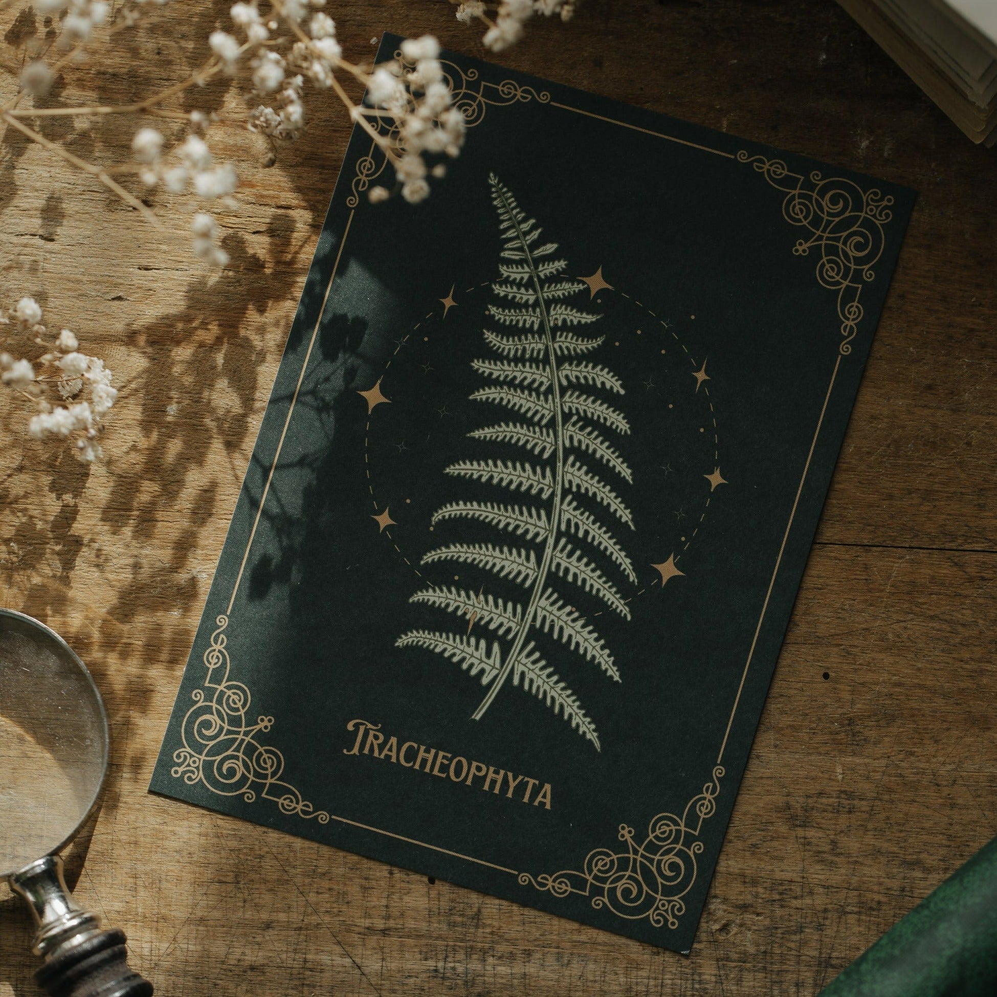 POSTCARD FERN