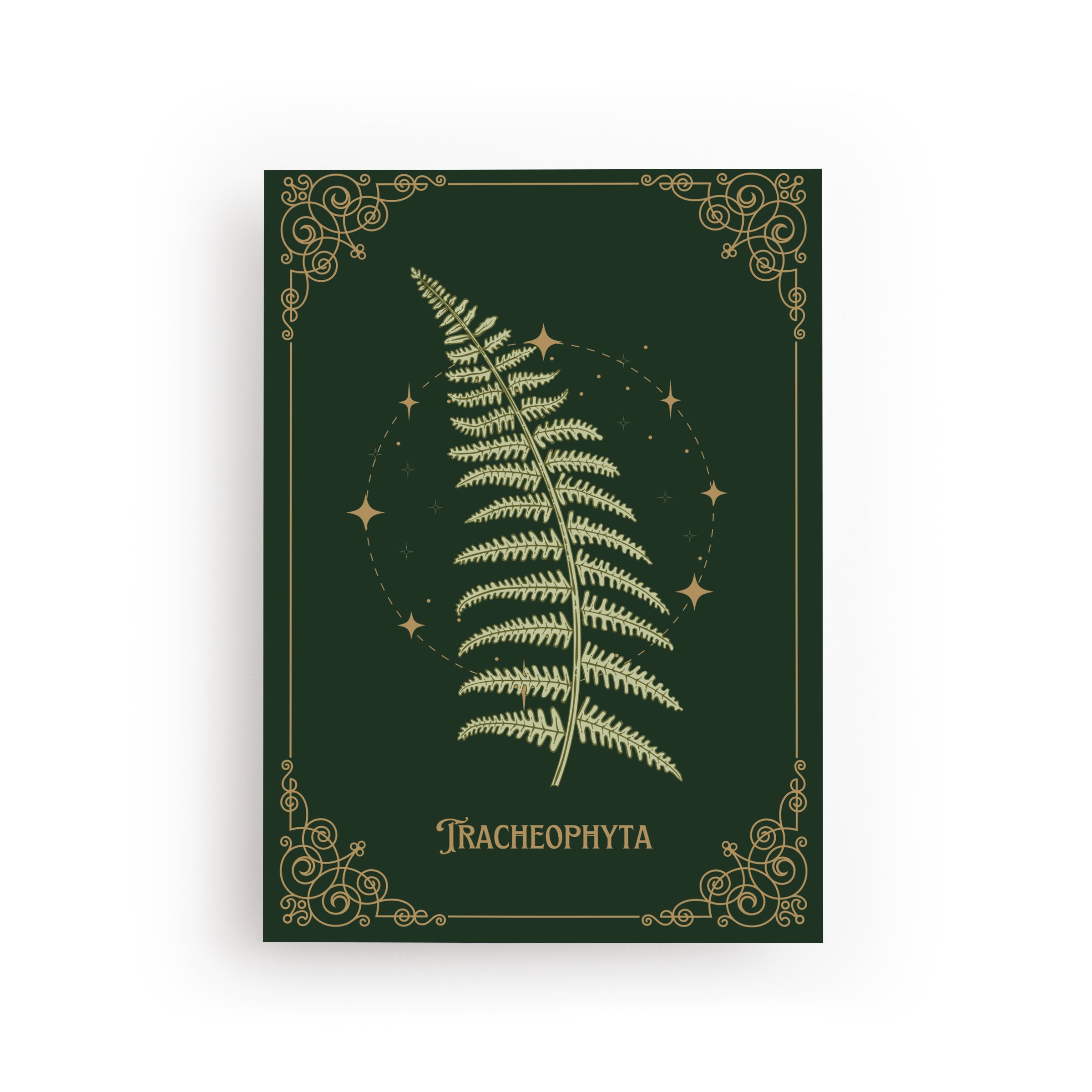 POSTCARD FERN