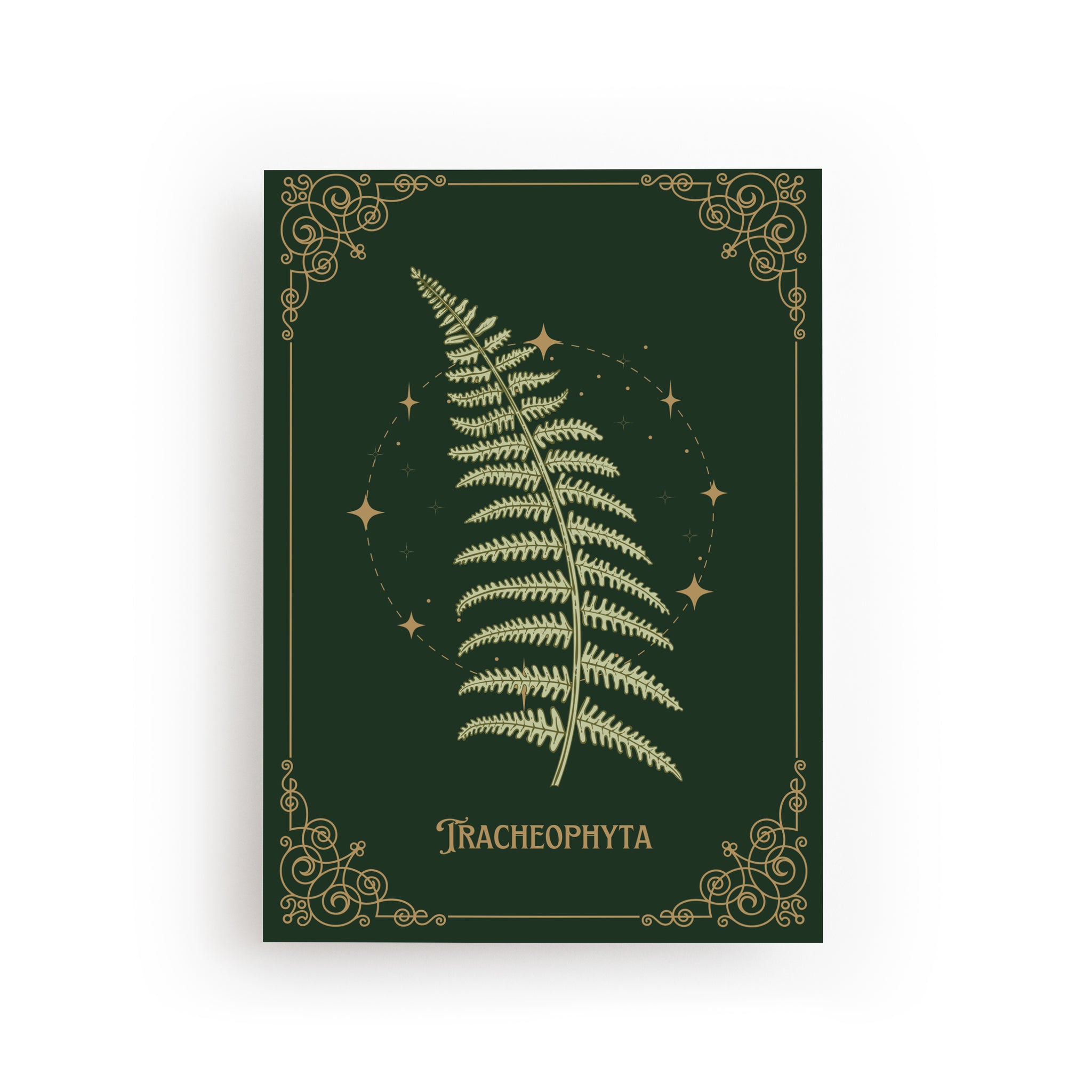 POSTKARTE FARN