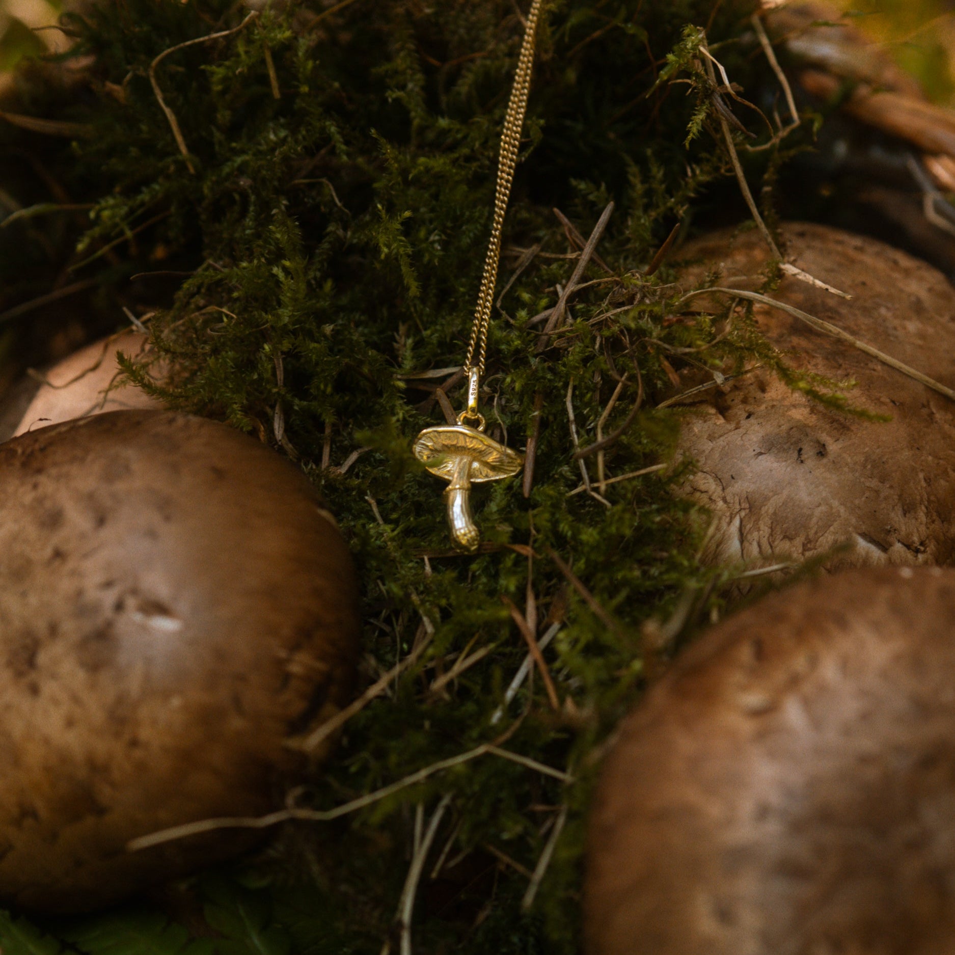 KETTE PILZ