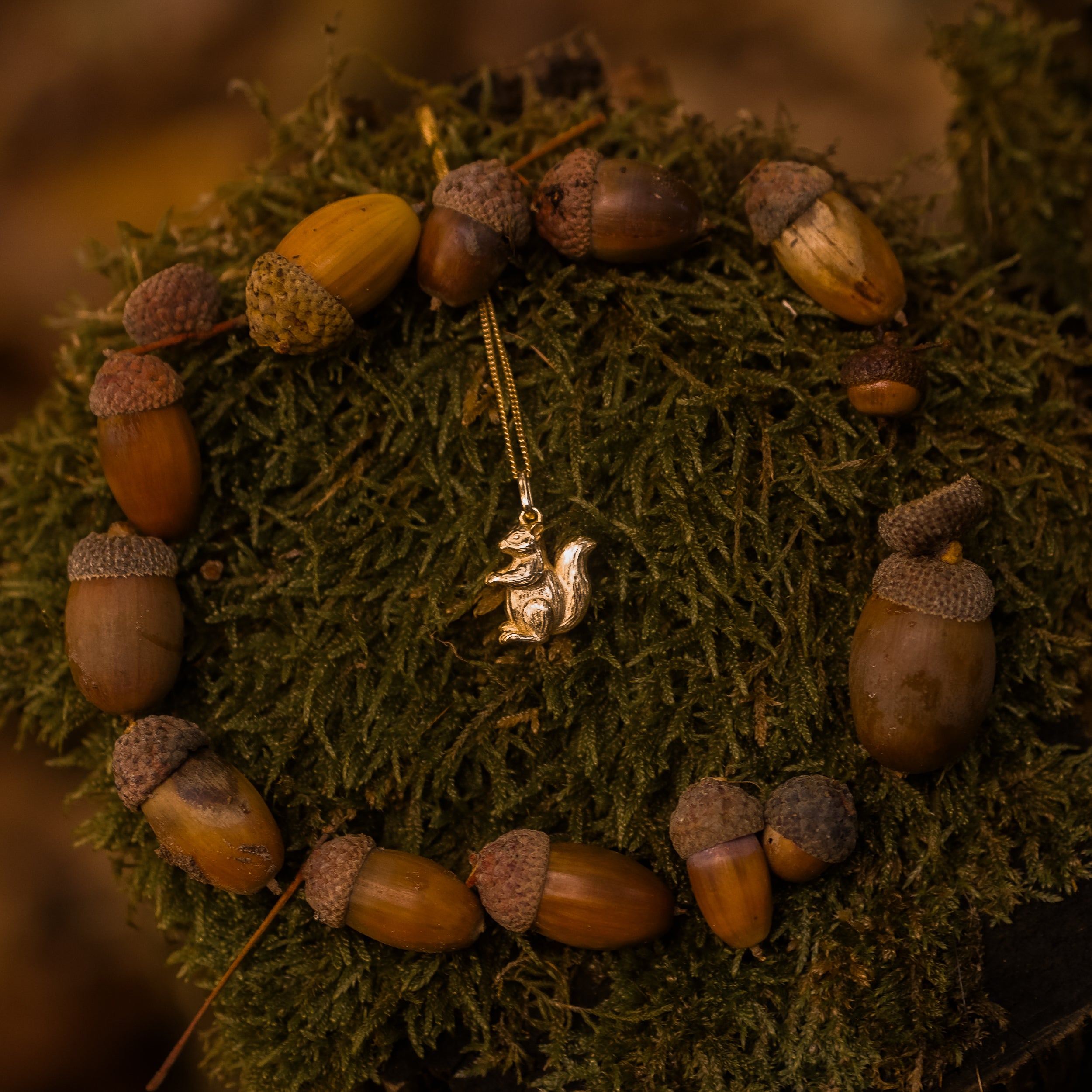 KETTE EICHHÖRNCHEN