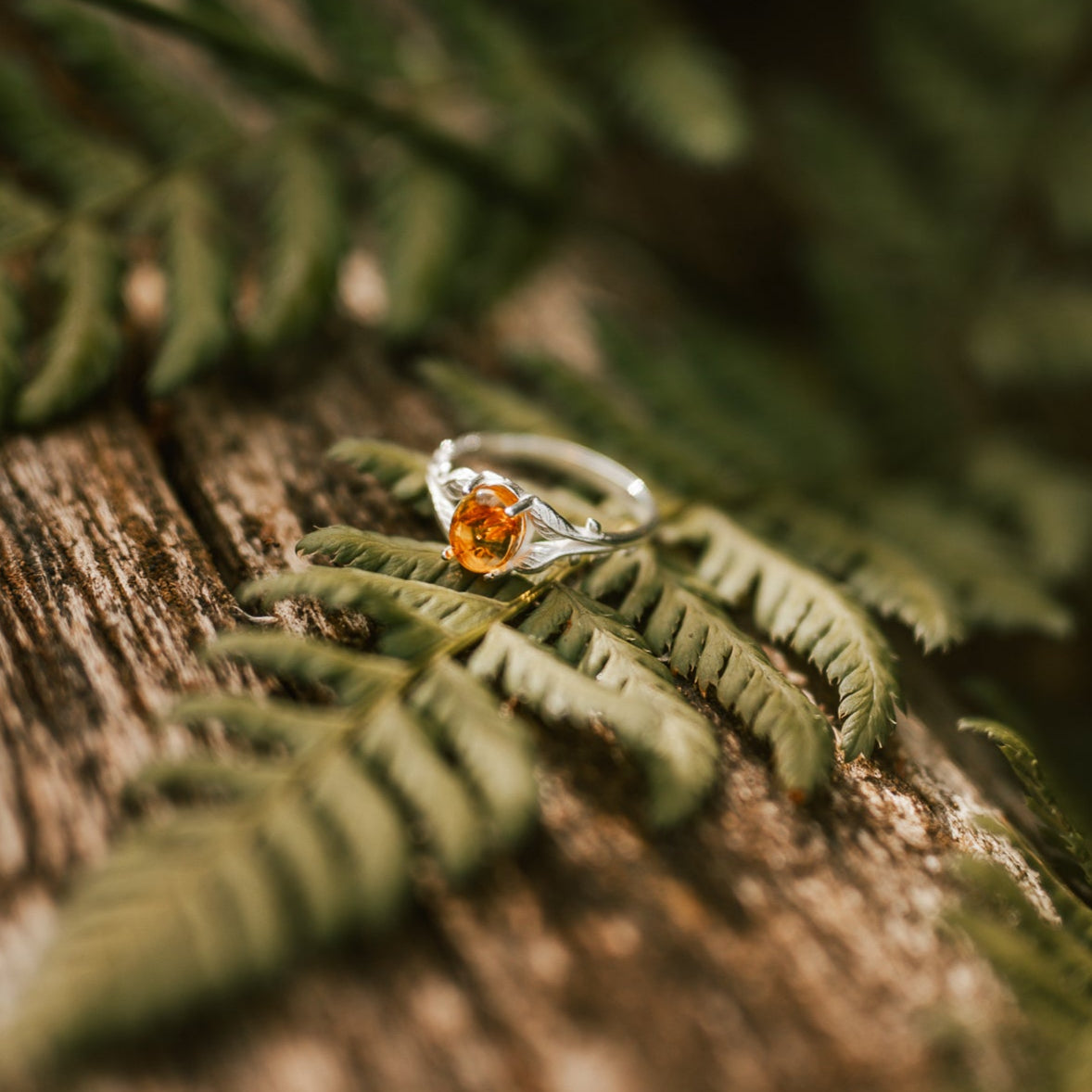 RING BERNSTEIN II