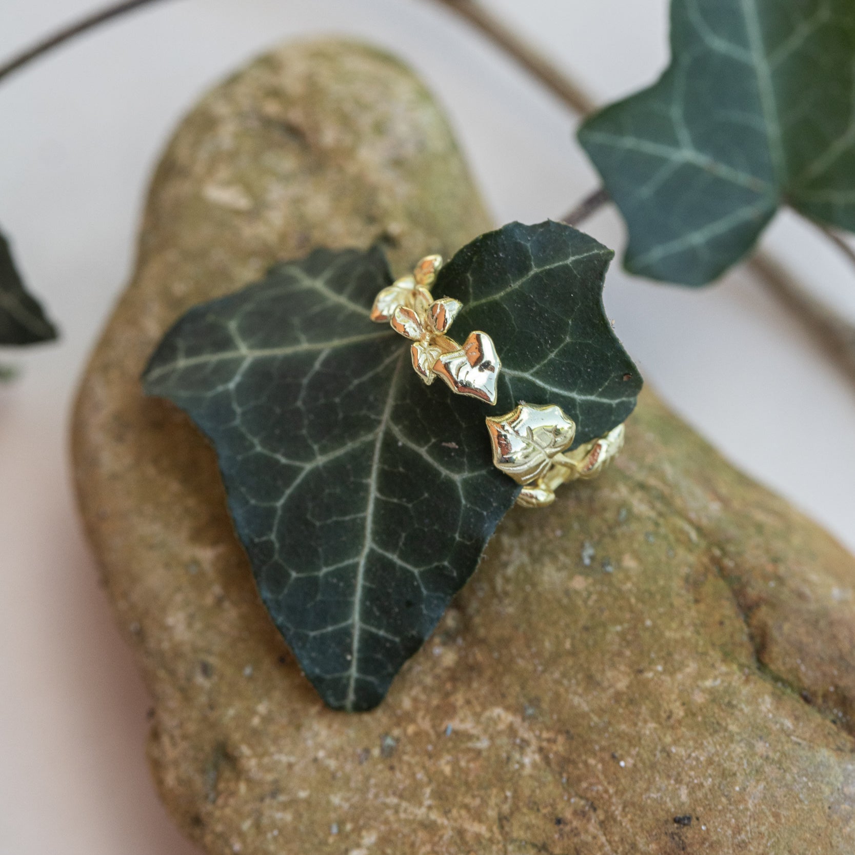 RING EFEU