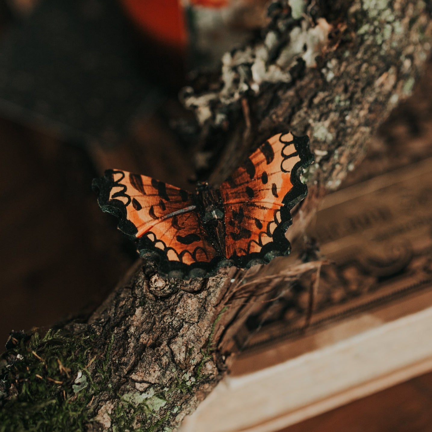 MAGNET SCHMETTERLING