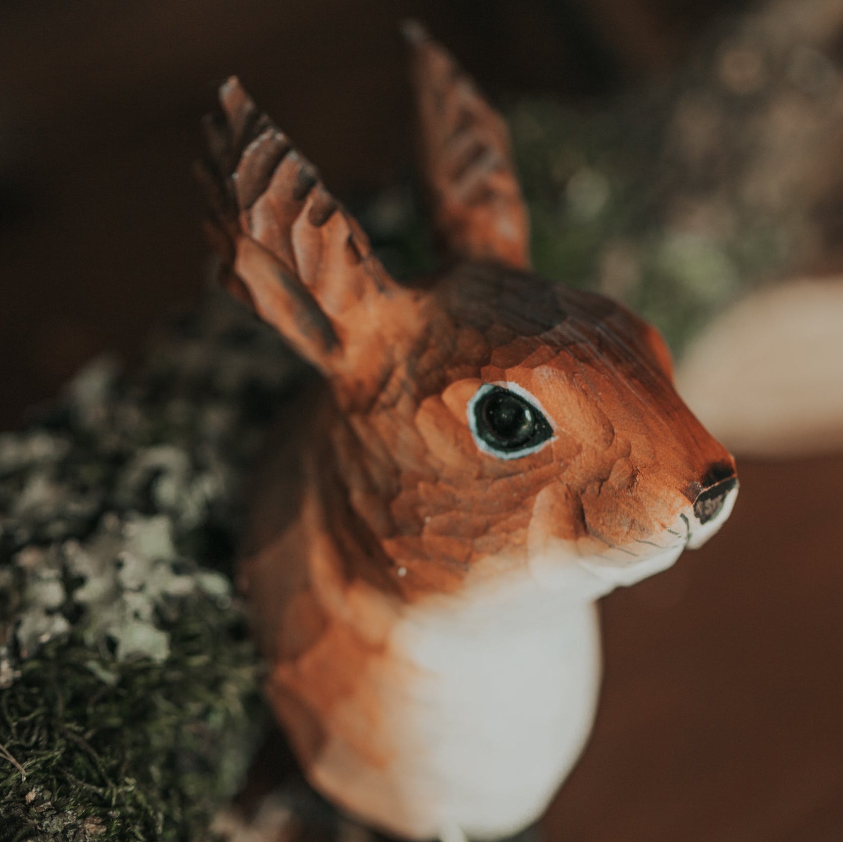 HAKEN EICHHÖRNCHEN