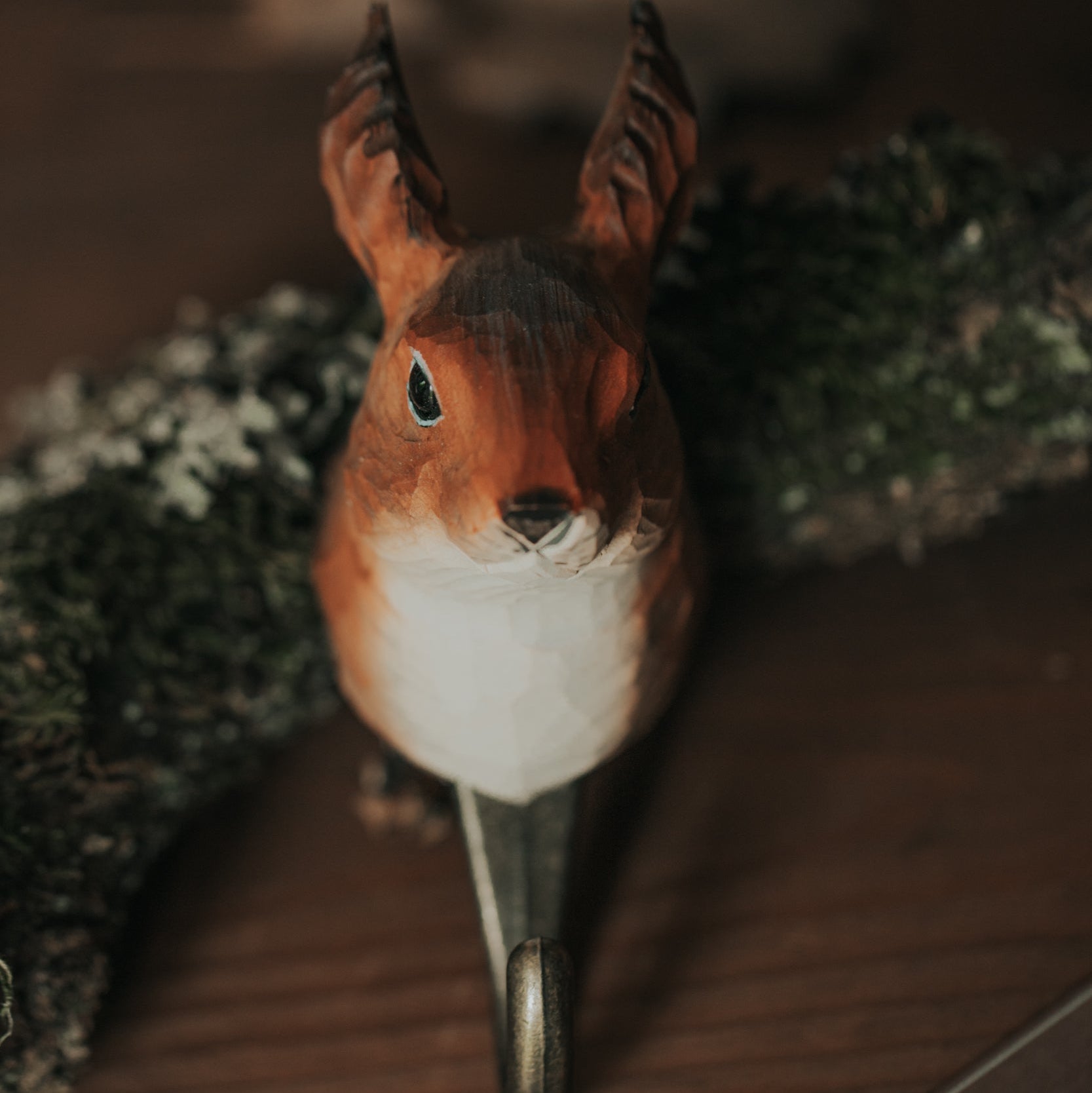 HAKEN EICHHÖRNCHEN