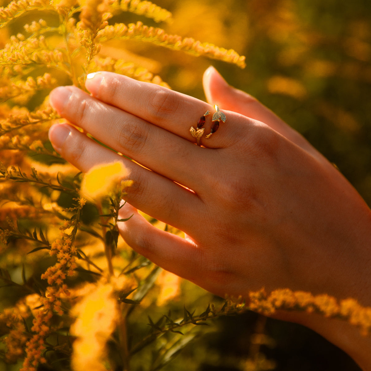 RING HAGEBUTTE & GRANAT