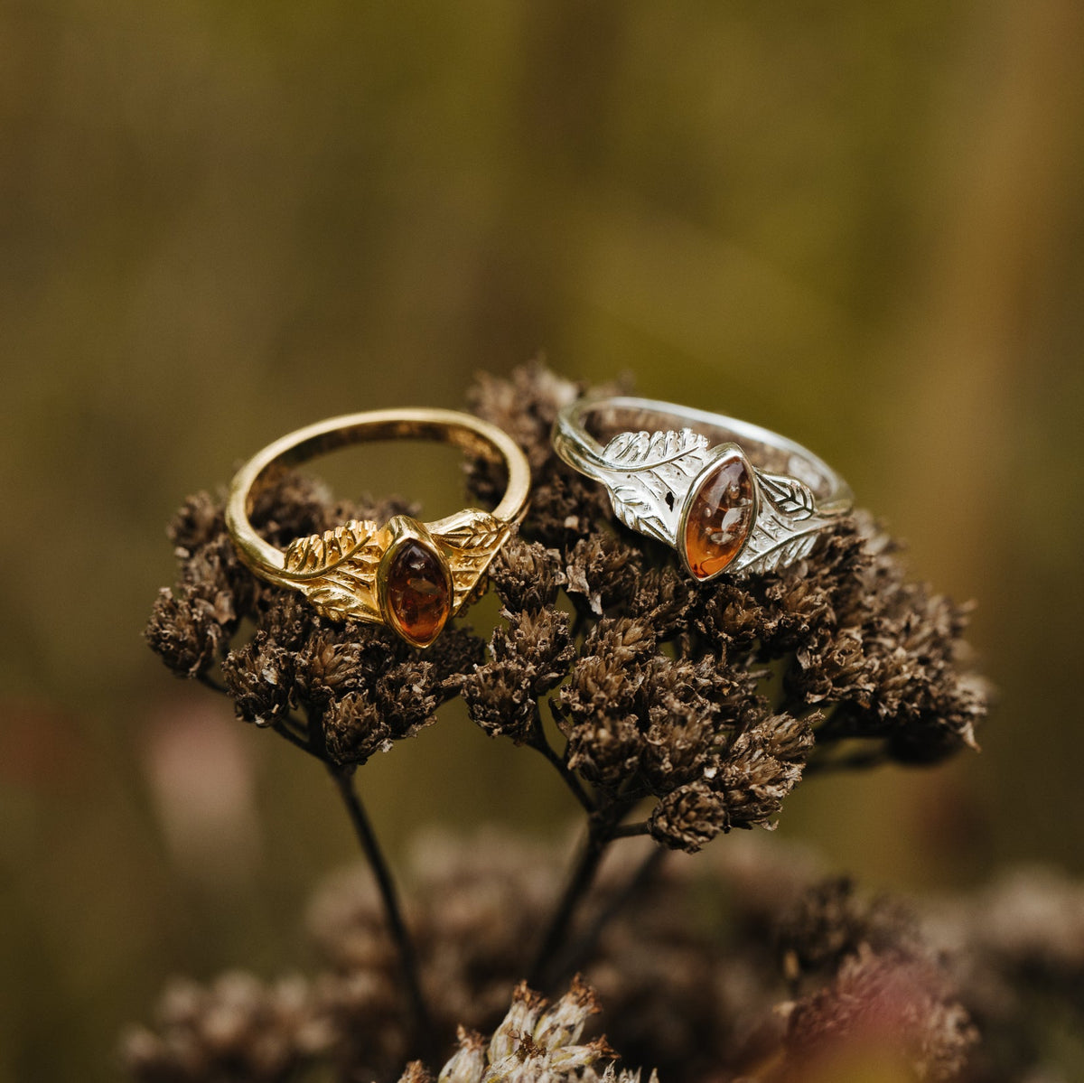 RING FARN & BERNSTEIN II